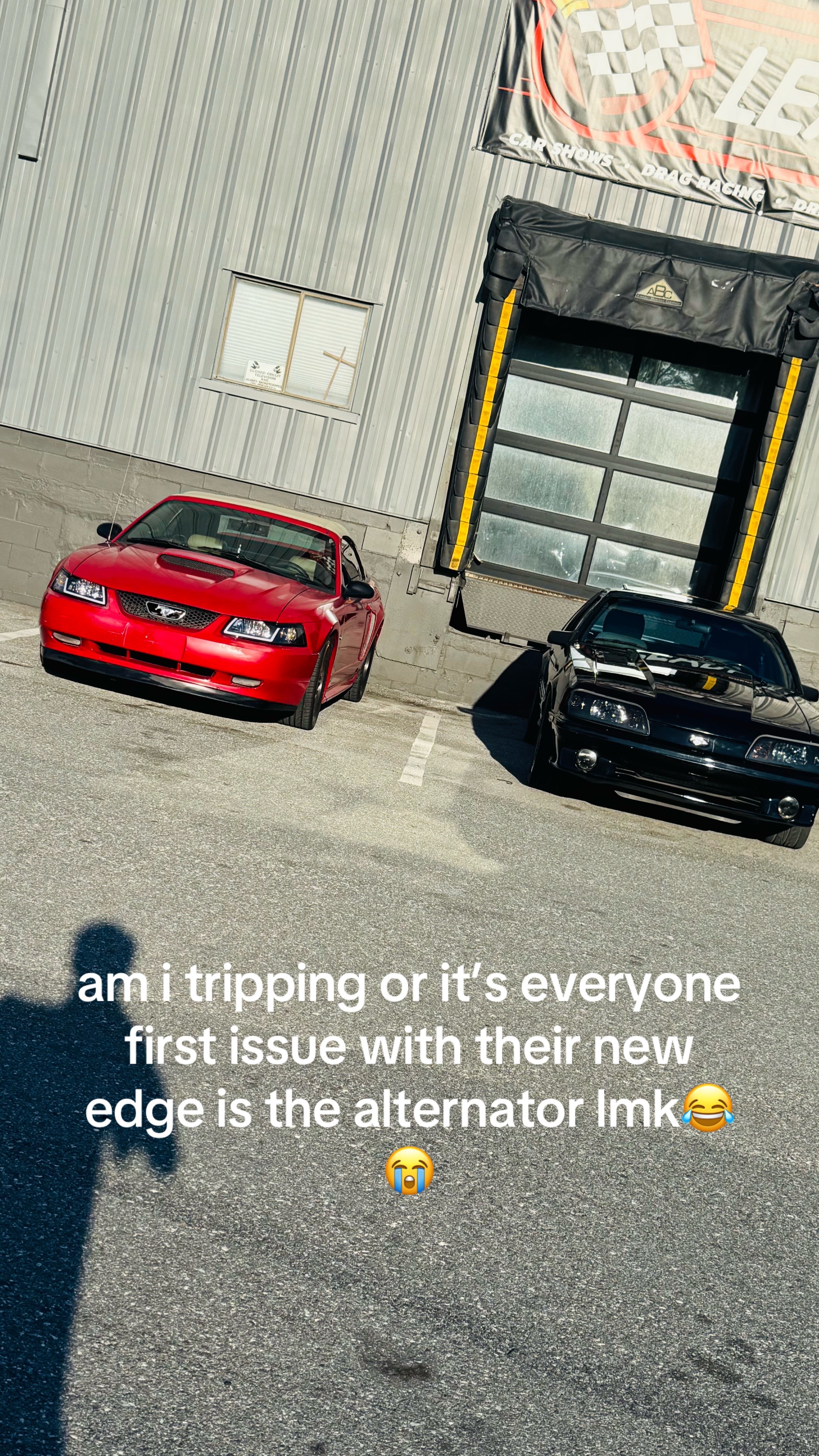 @that.new.edgemustang