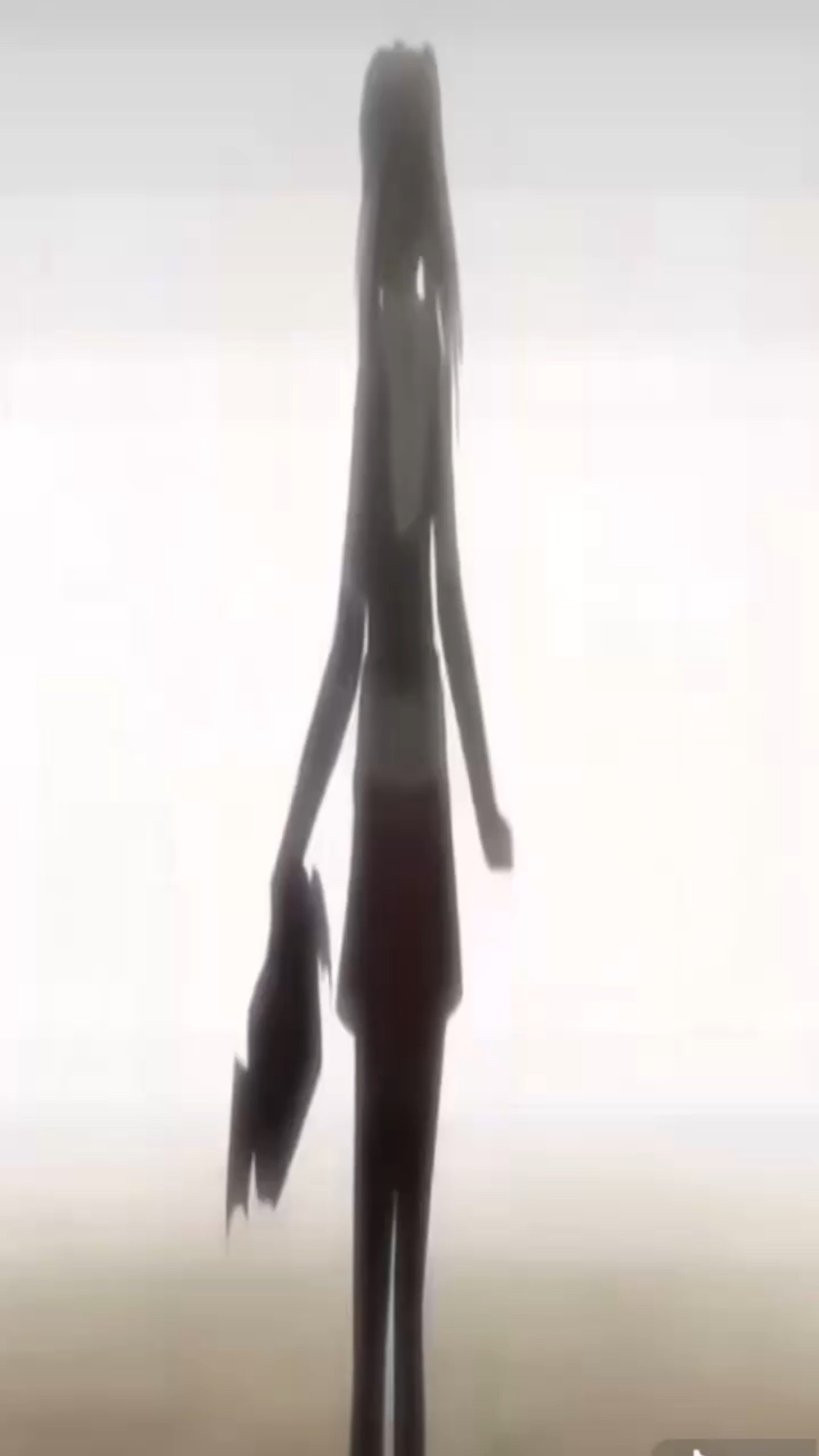 @2zara
