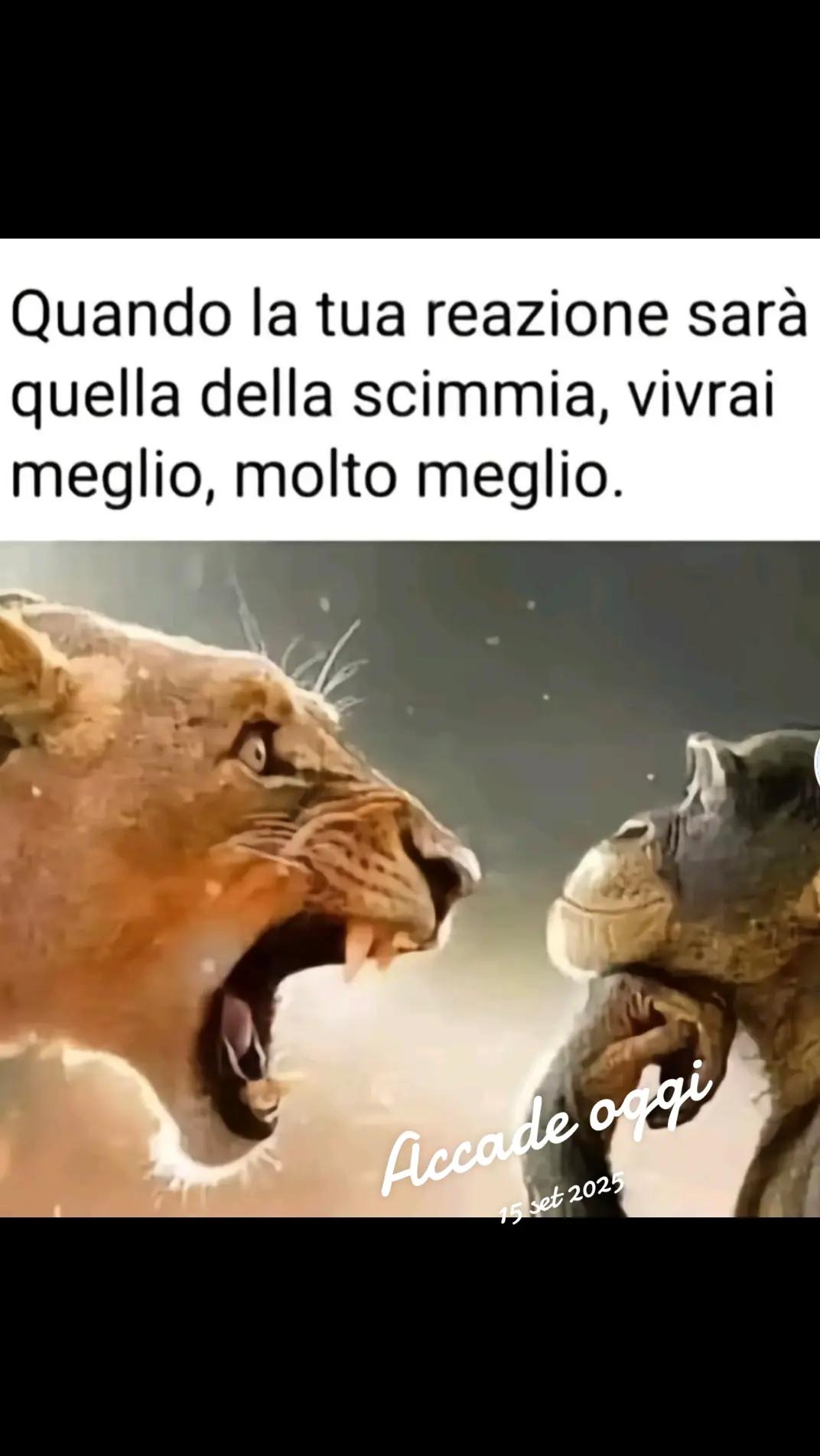 @gennarojimmy306