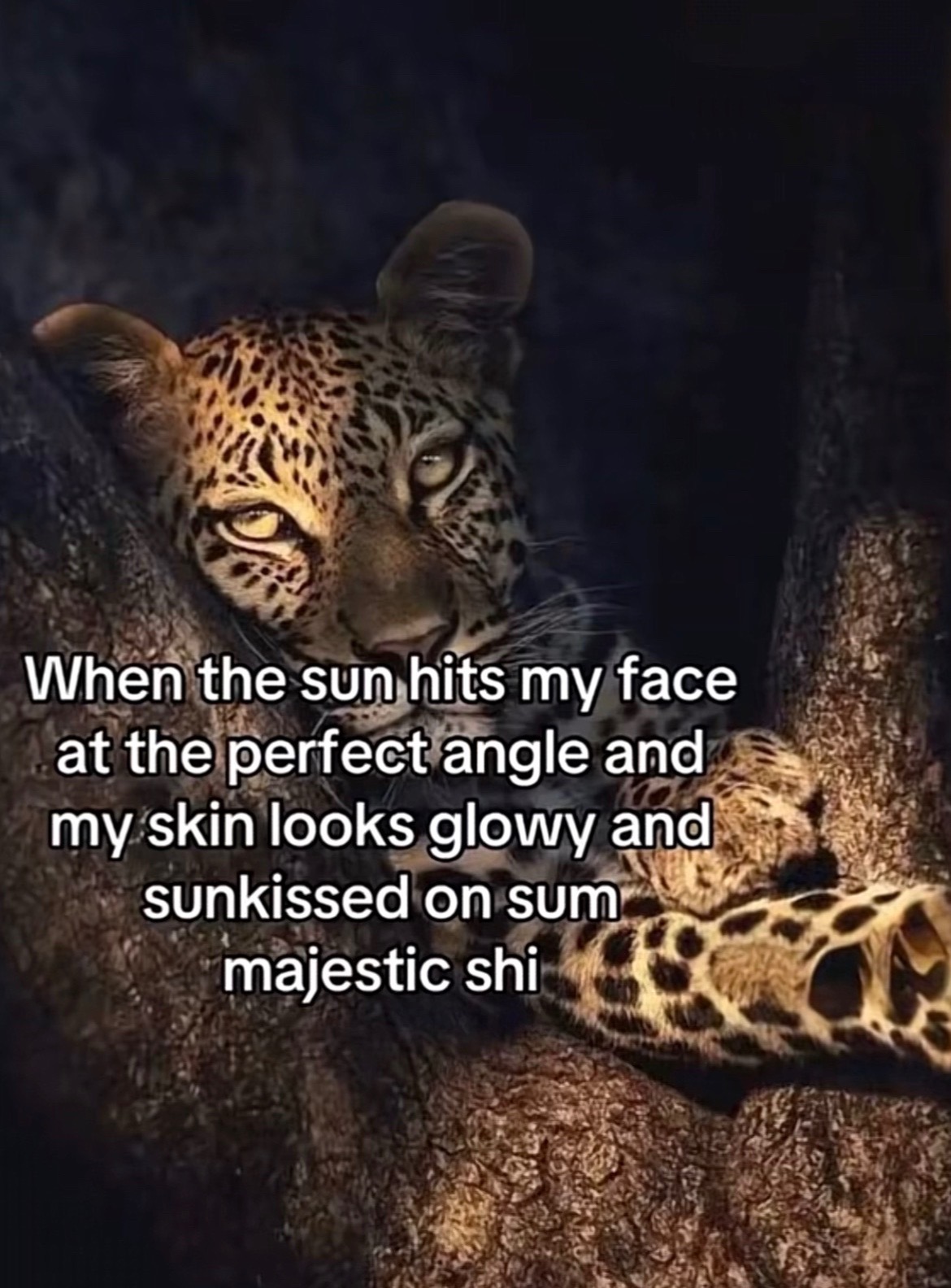 @Kaylee💋᥄