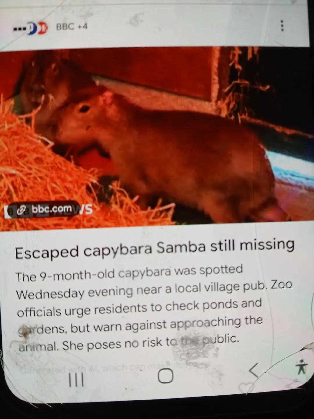 @luvhorsemom0127