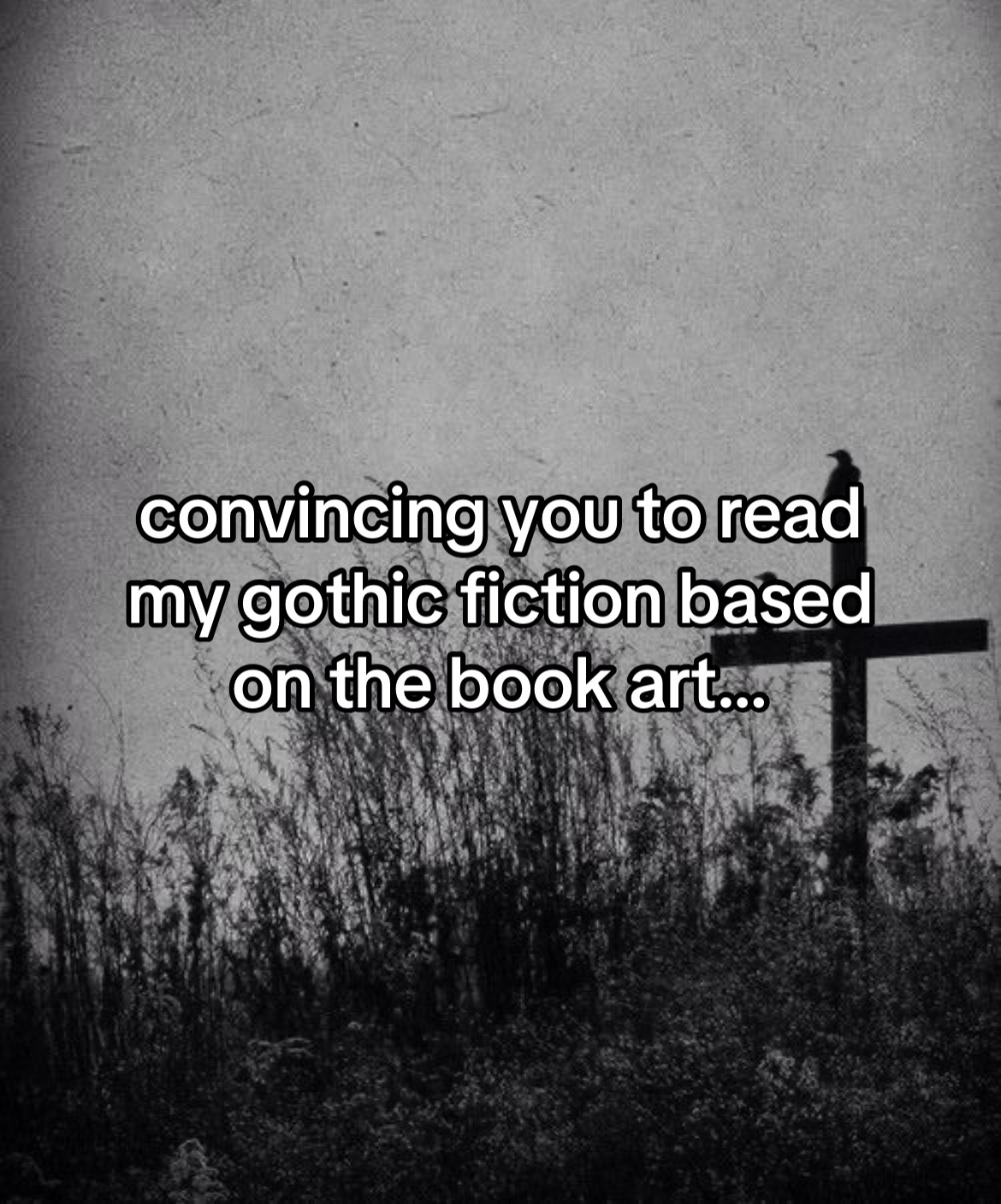 @Kyra Rain - Author