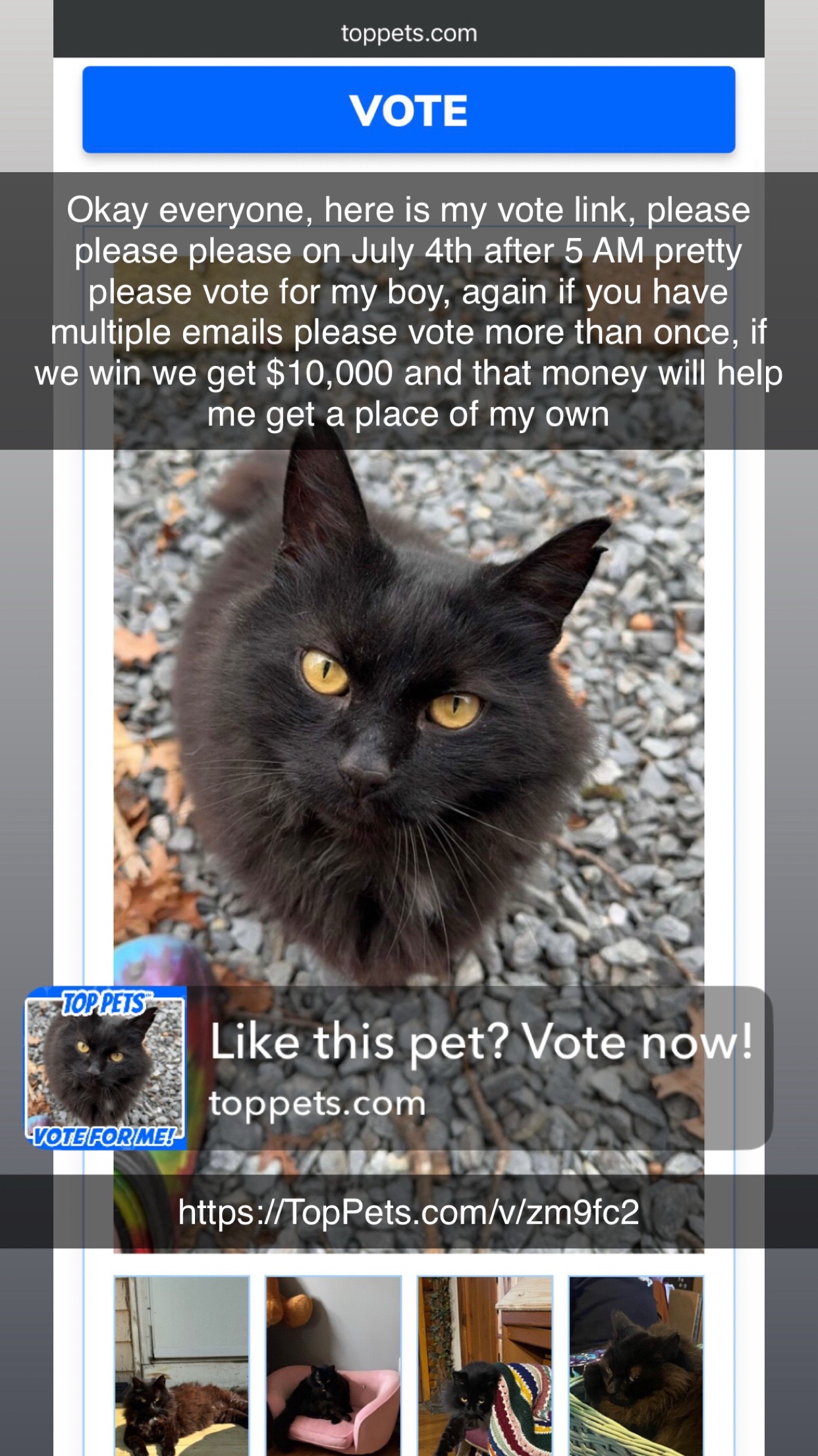 @๐๐ช๐ท๐ท๐ช๐ฆ๐ฒ๐ฝ๐ฌ๐ฑ