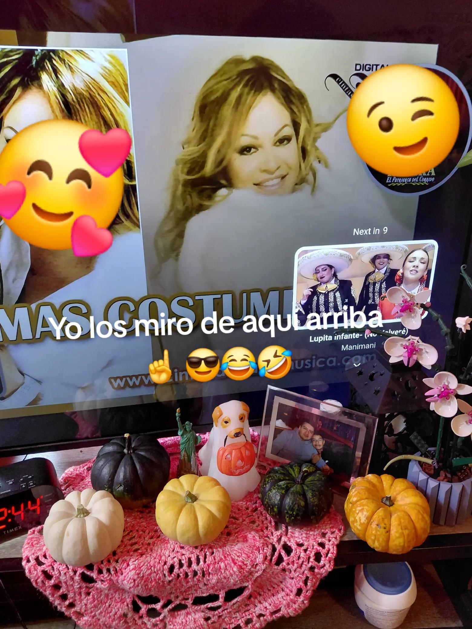 @joanalacoquetainolvidable ๐๐ฆ