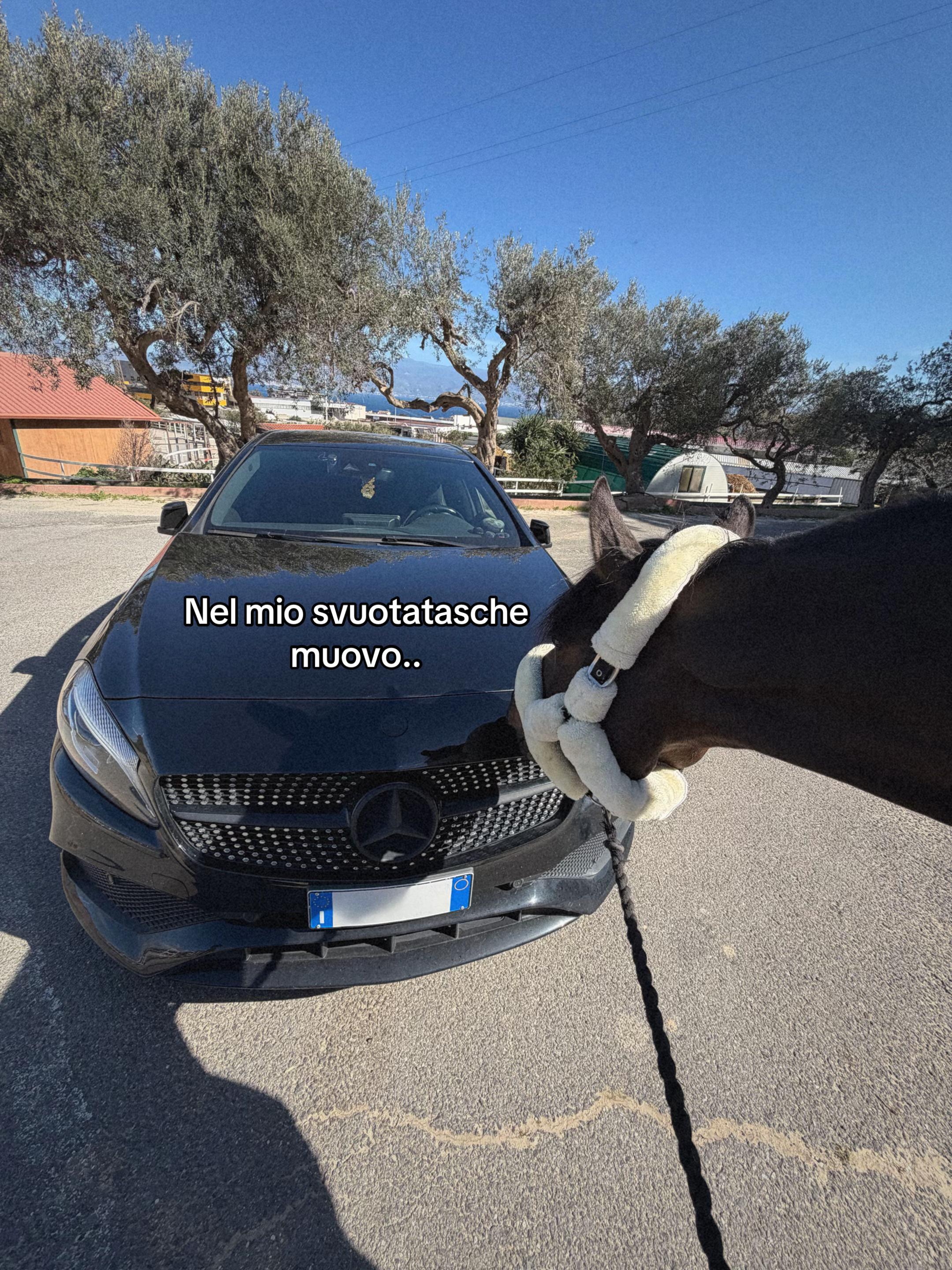 @Rita De Domenico