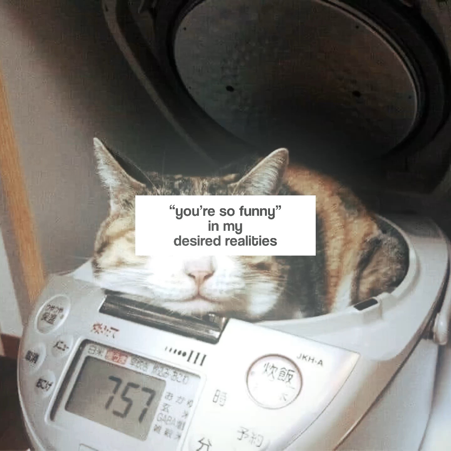 @jordyn ✰
