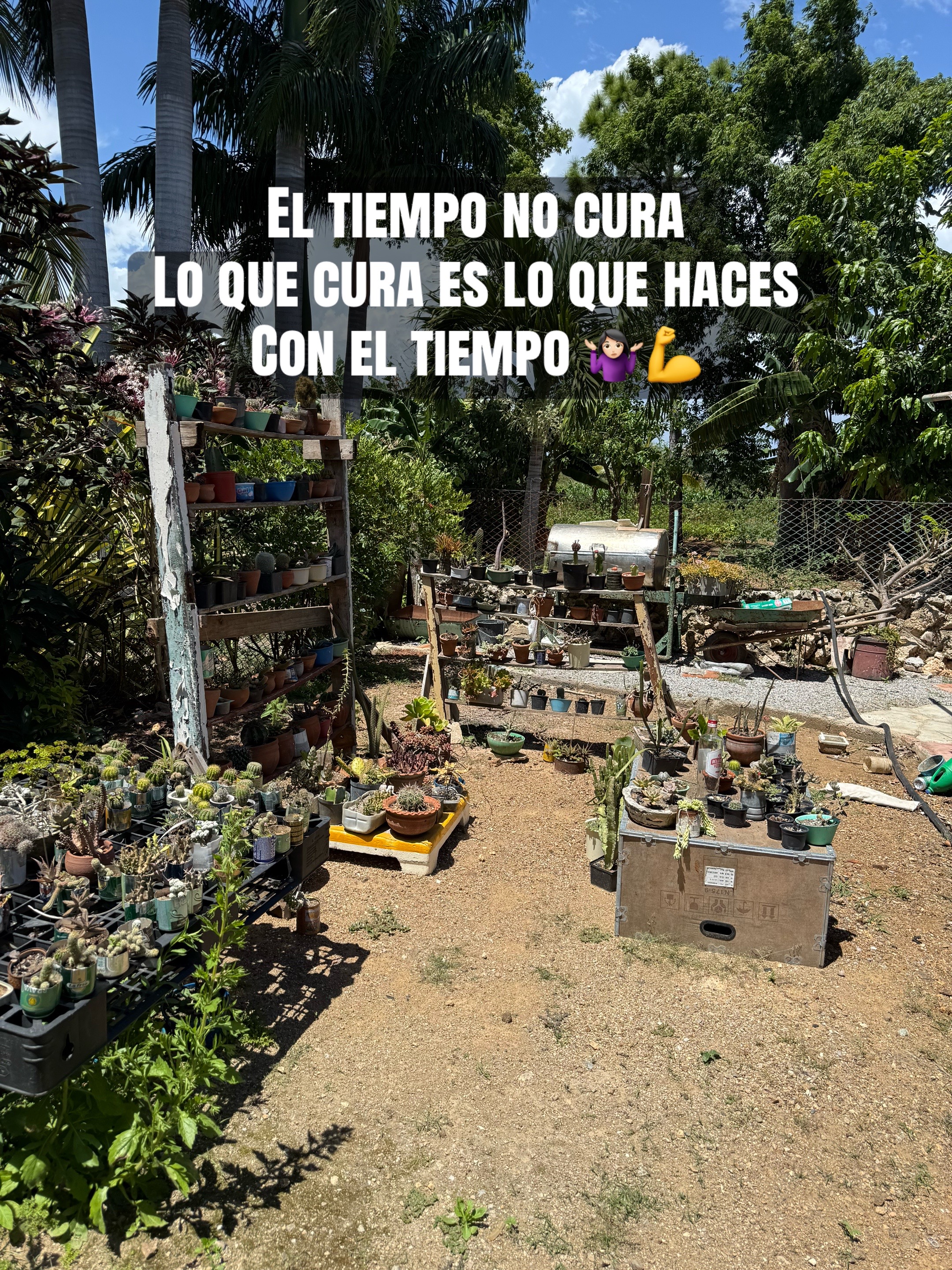 @Dileimysdelpino
