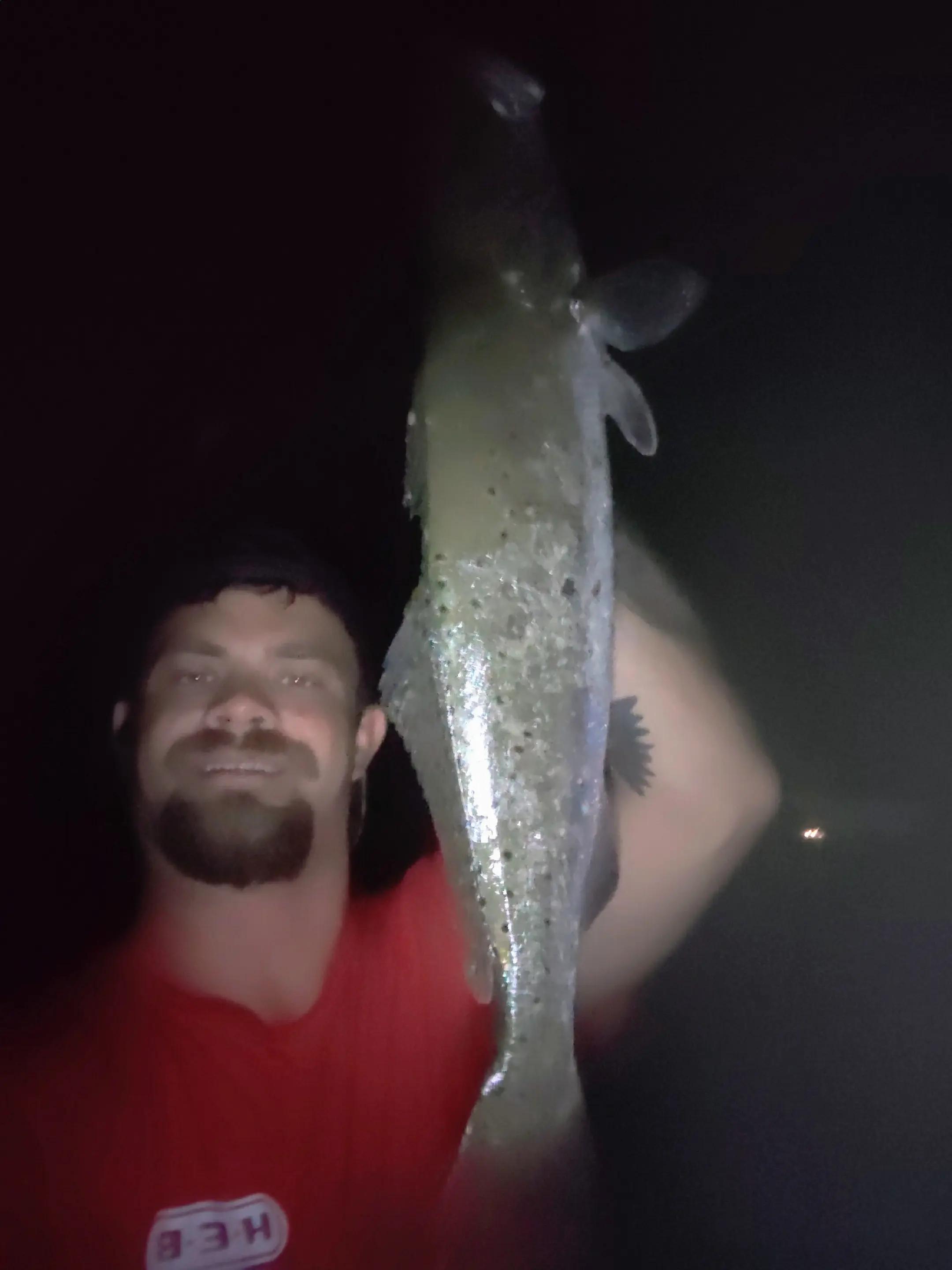 @BluffRat361