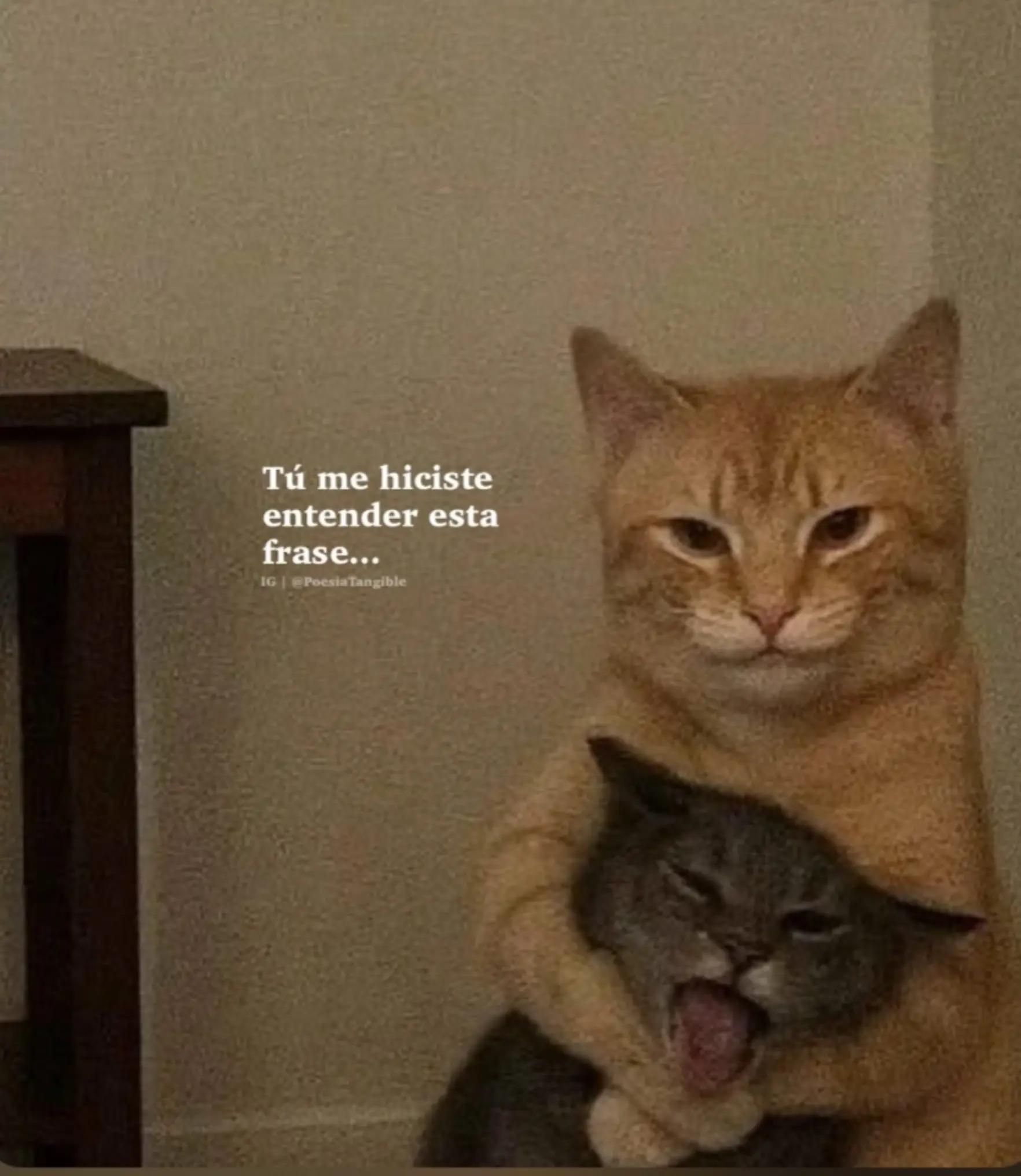 @mayra112