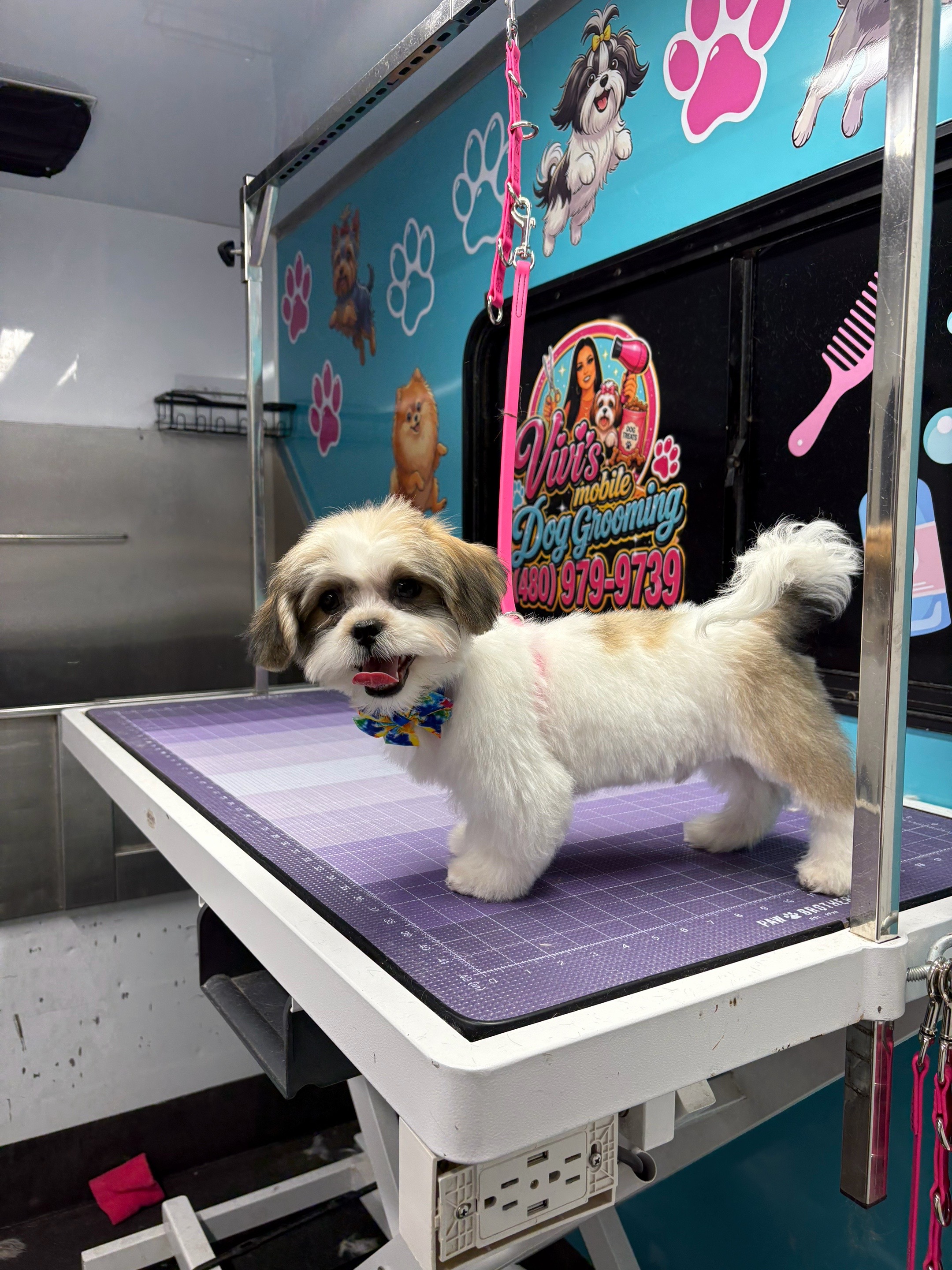 @Vivismobiledoggrooming