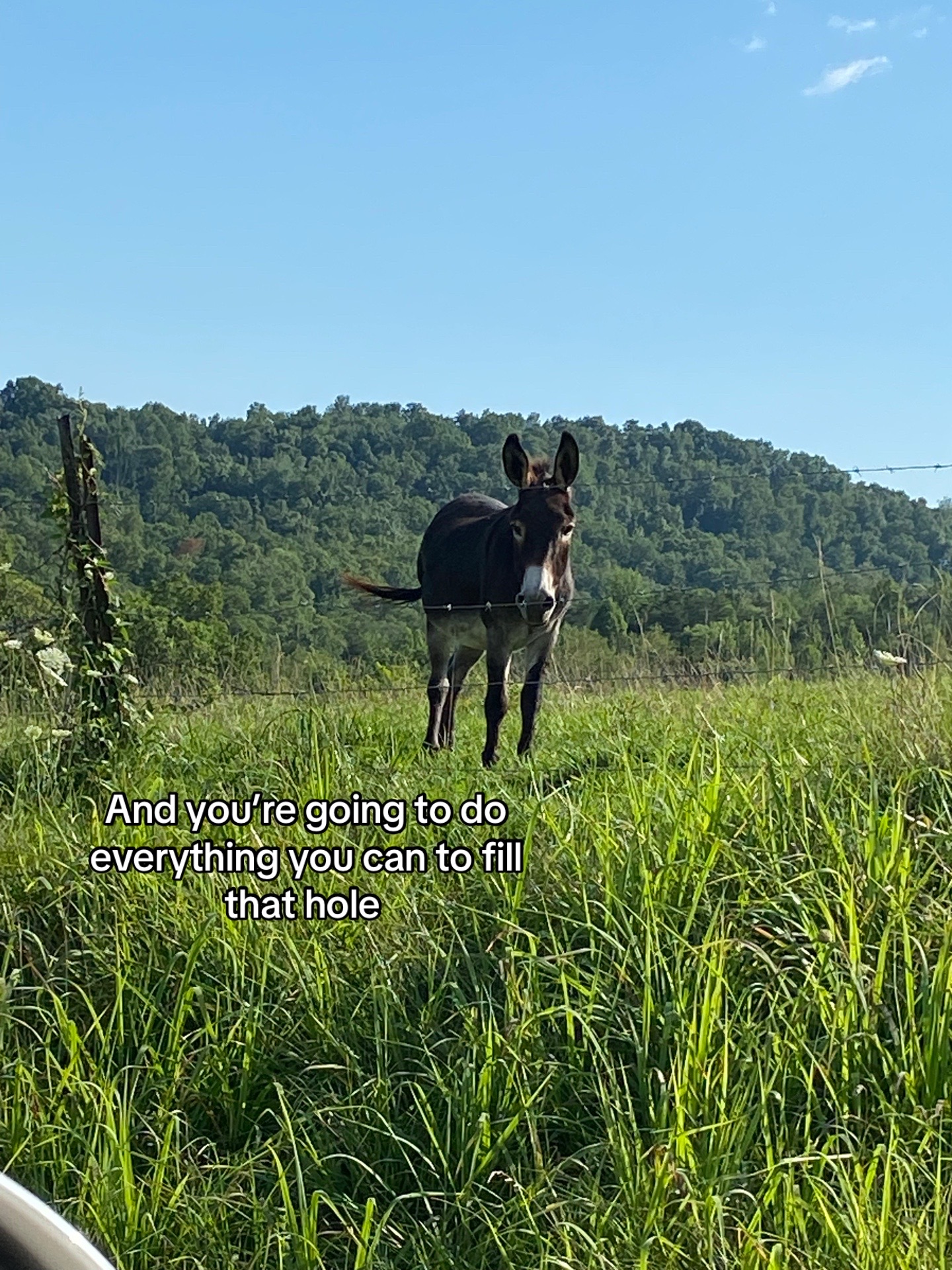 @em