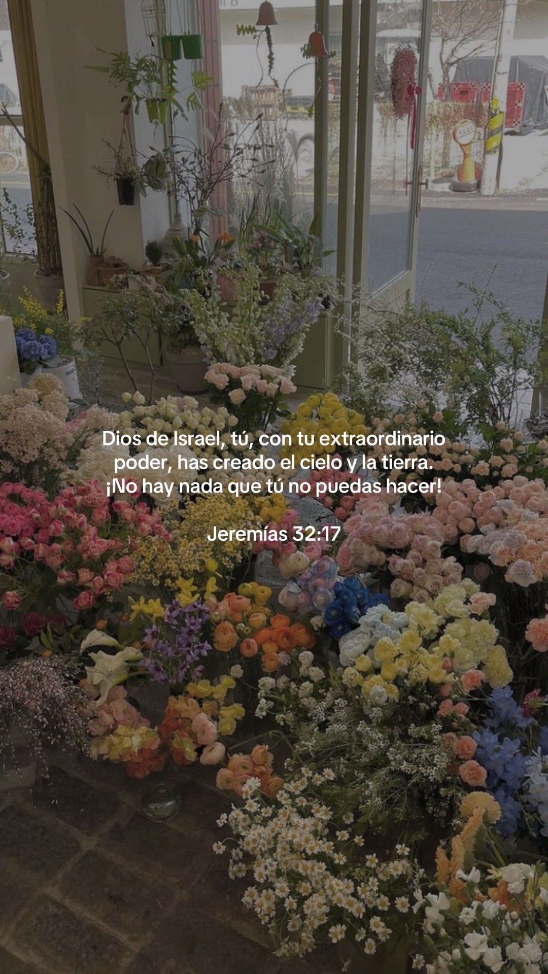 @vidabonita❤️&zwj;🩹
