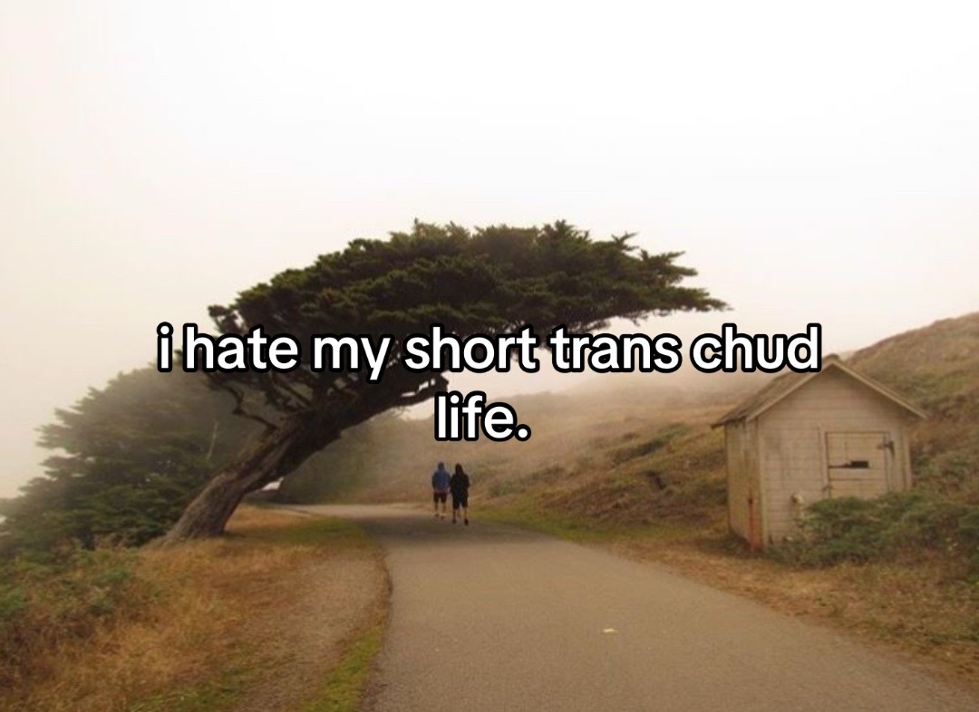 @chudtrans