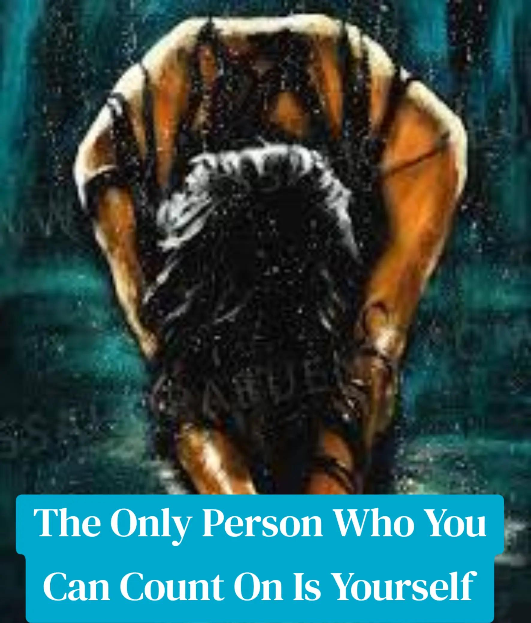 @Elevated Soul Network