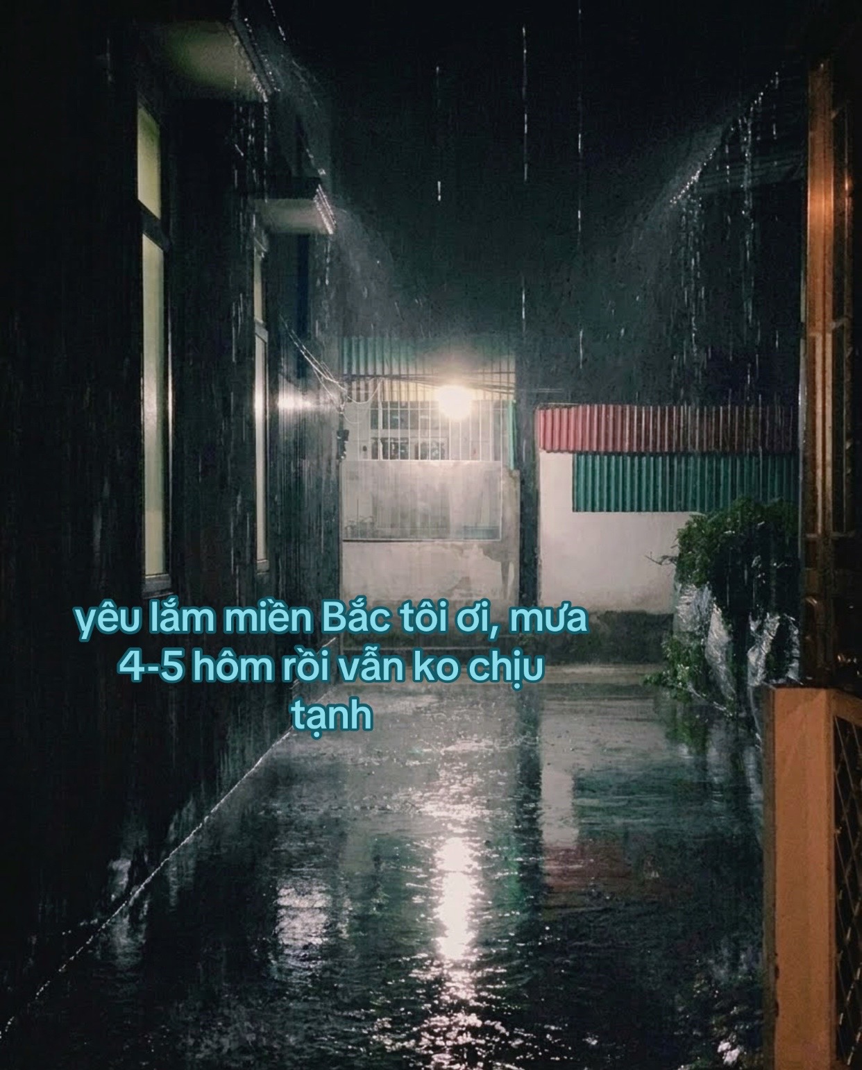 @Vietnamnews26