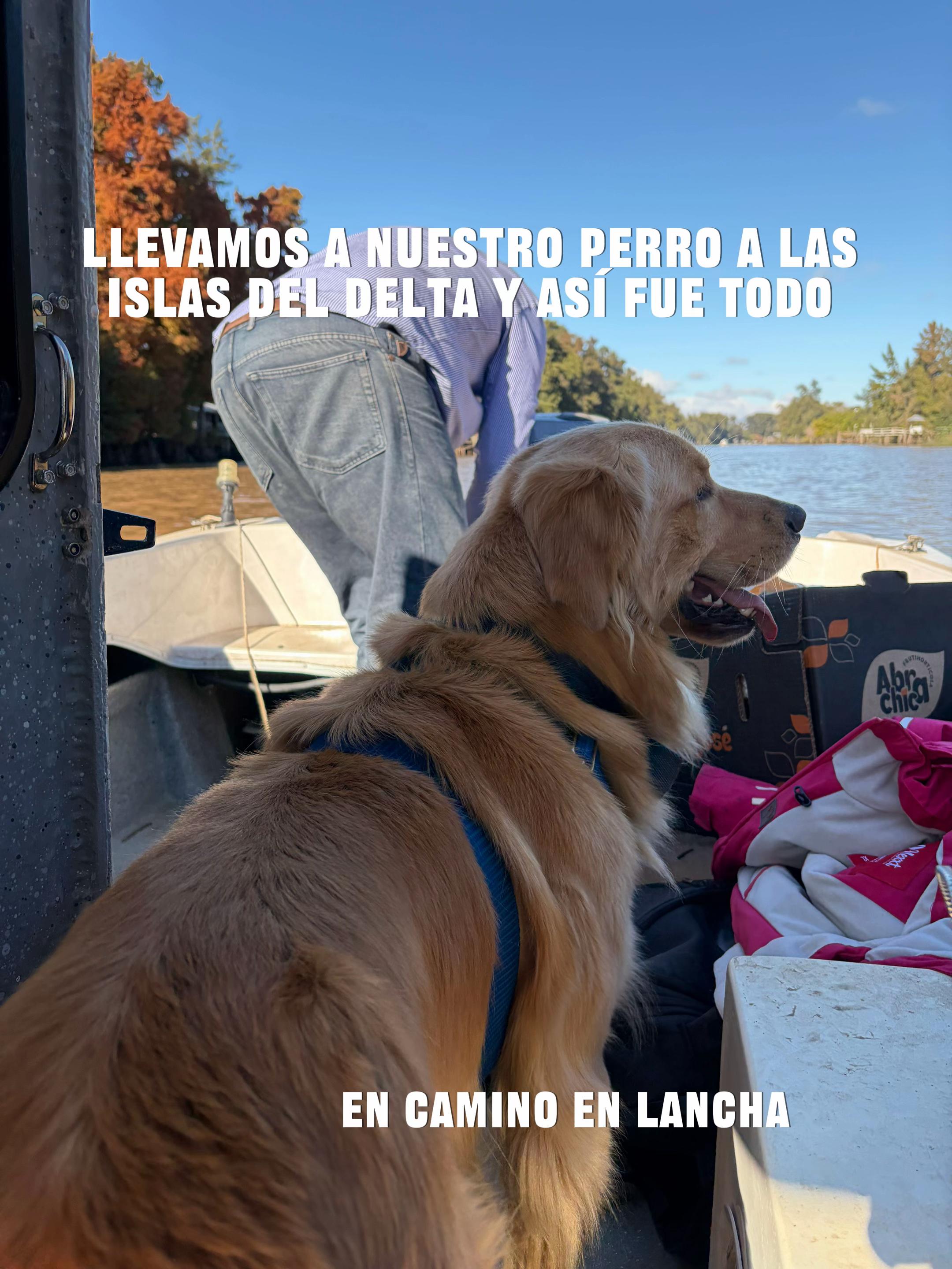 @Narco🐕🐾🐾