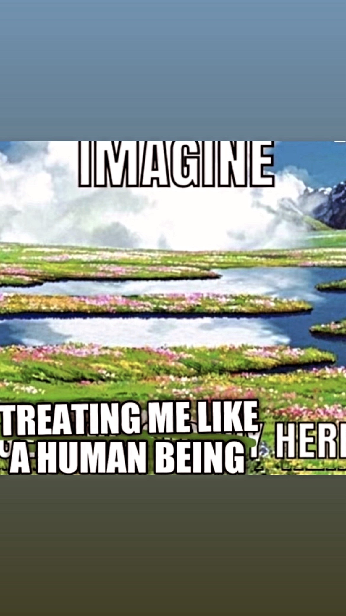 @ozweego
