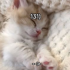 @Заходи😝😘