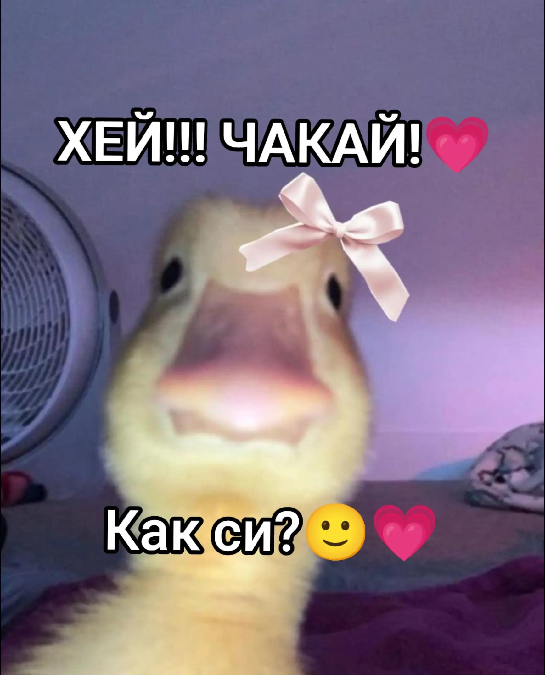 @๊งโก ๐๐ช๐ซ๐•๐๐ช๐ฌ๐ด โก๊ง