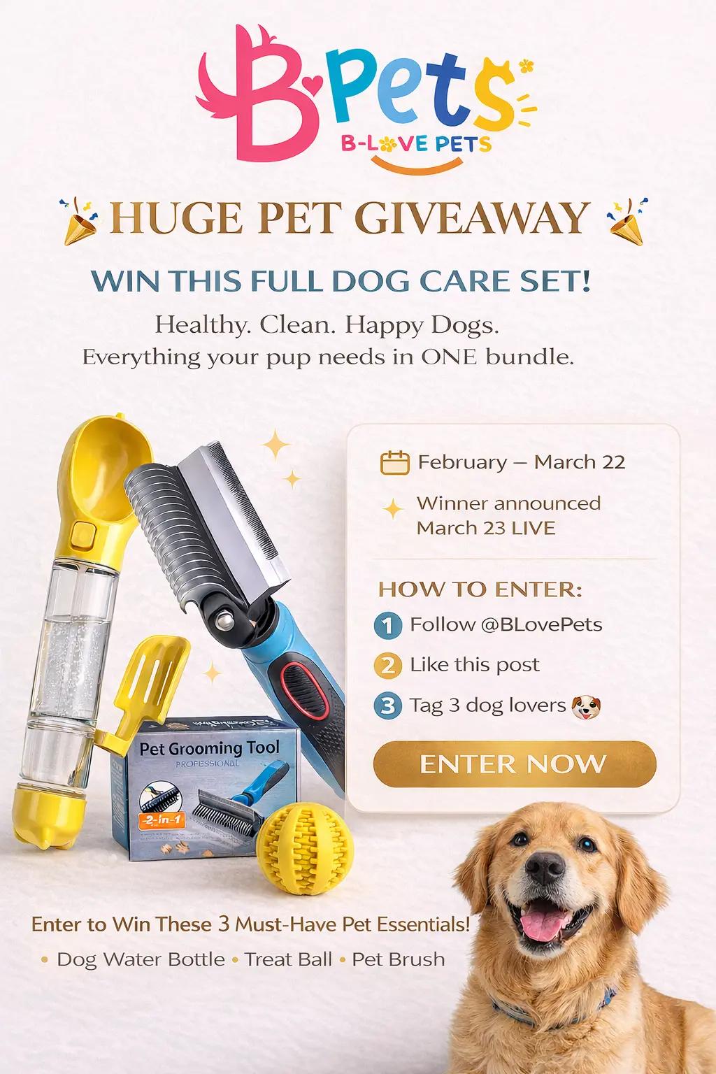 @B Love Pets