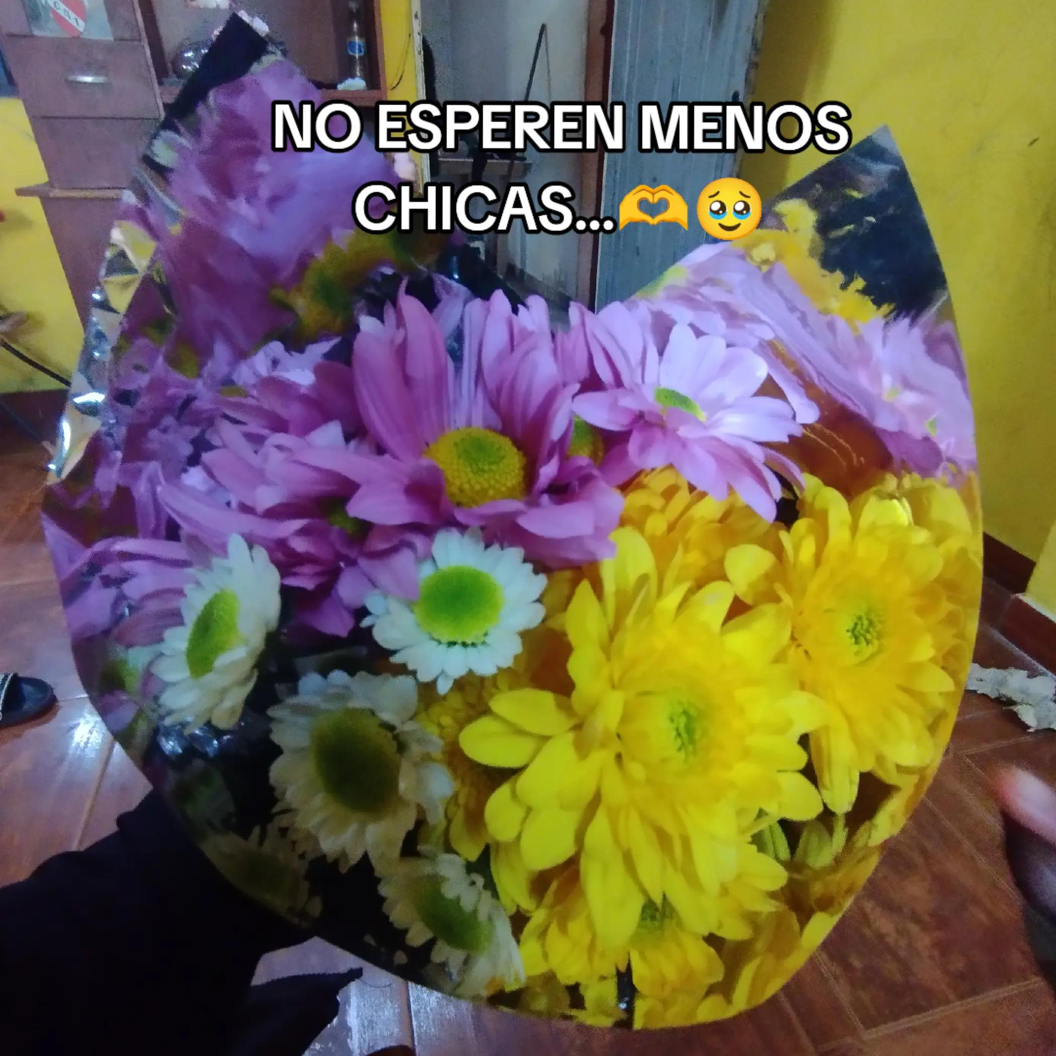 @AYLEN ALBORNOZ🫶