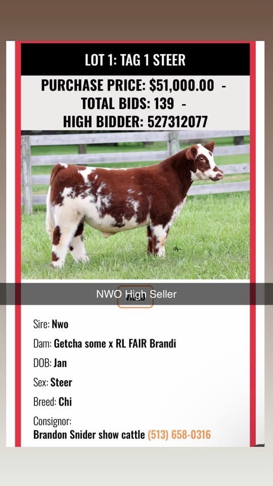 @Matt Lautner Cattle USA