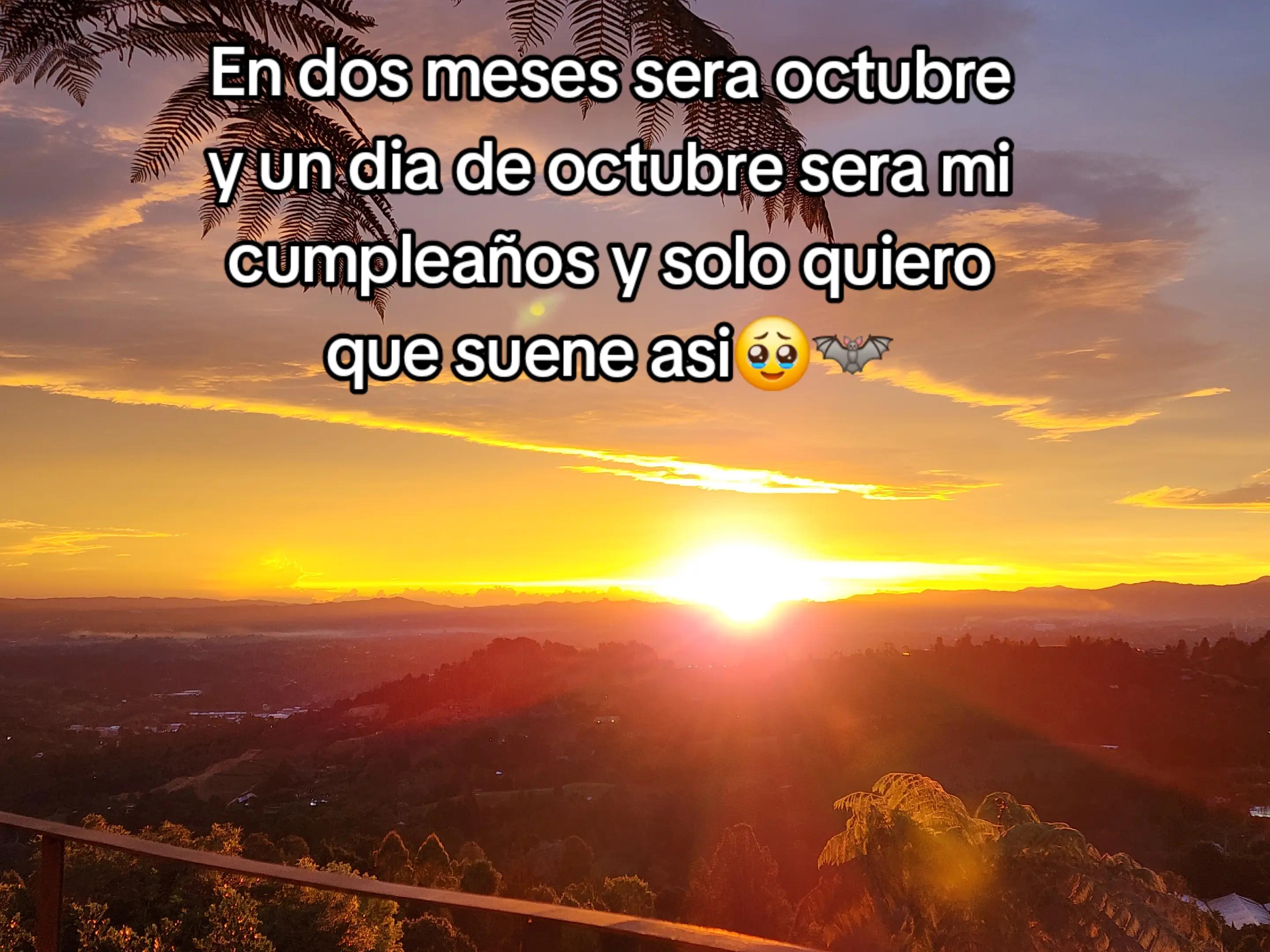 @🦇Lapola033
