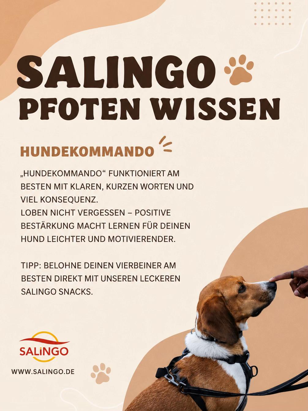 @SALiNGO