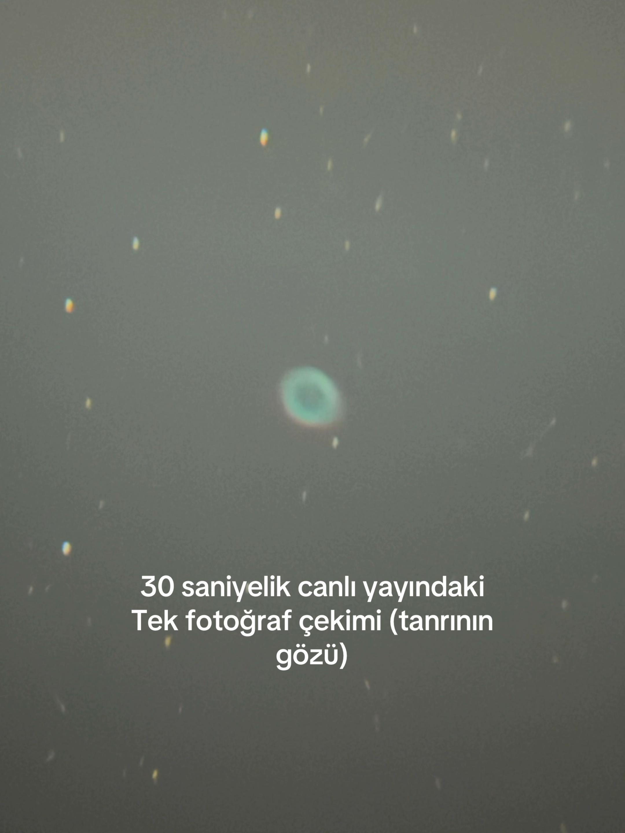 @Ferhat songur