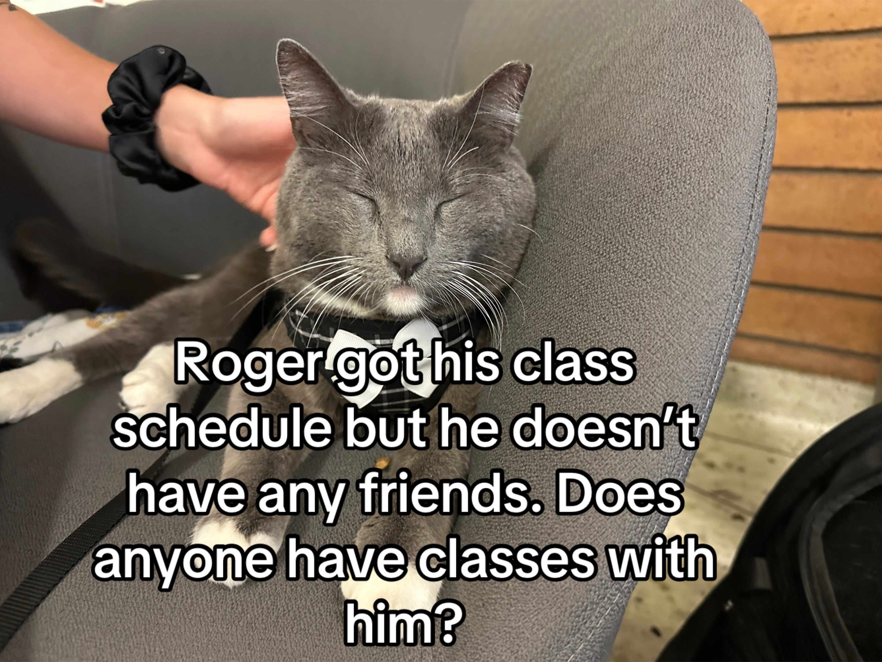 @Therapy Cat Roger & Family
