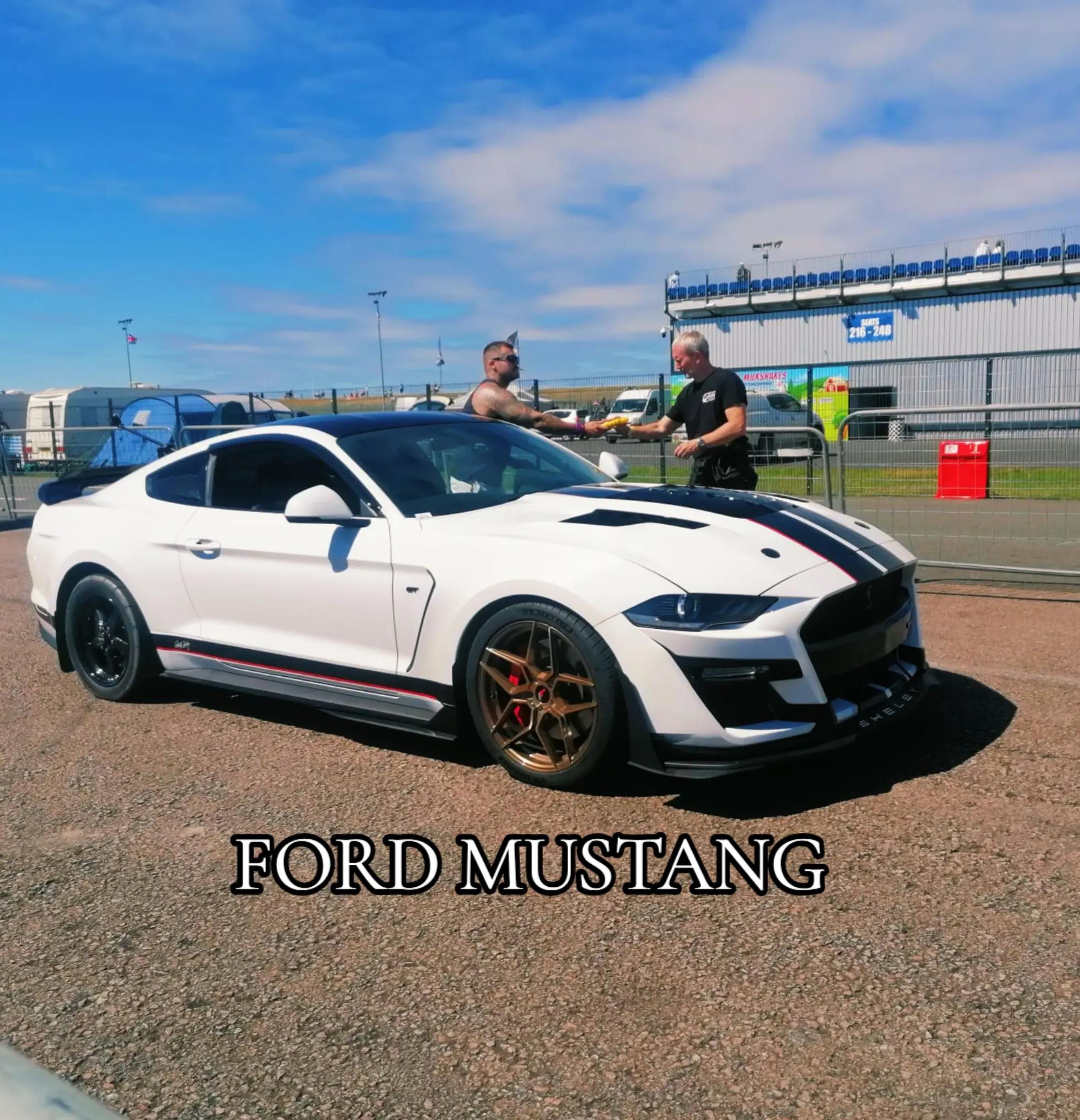 @MustangMack