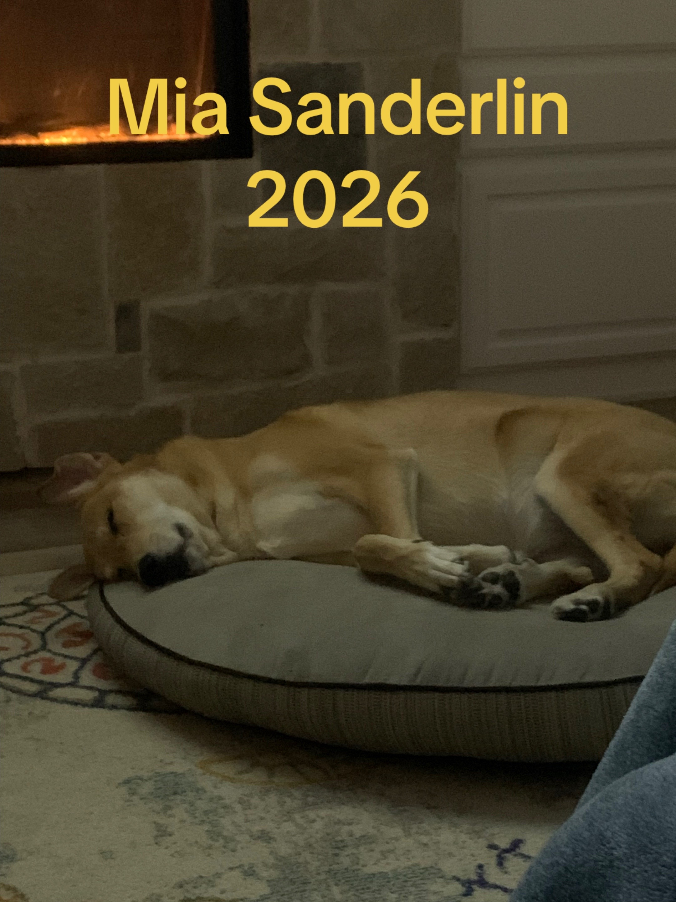 @KRISTI SANDERLIN 2