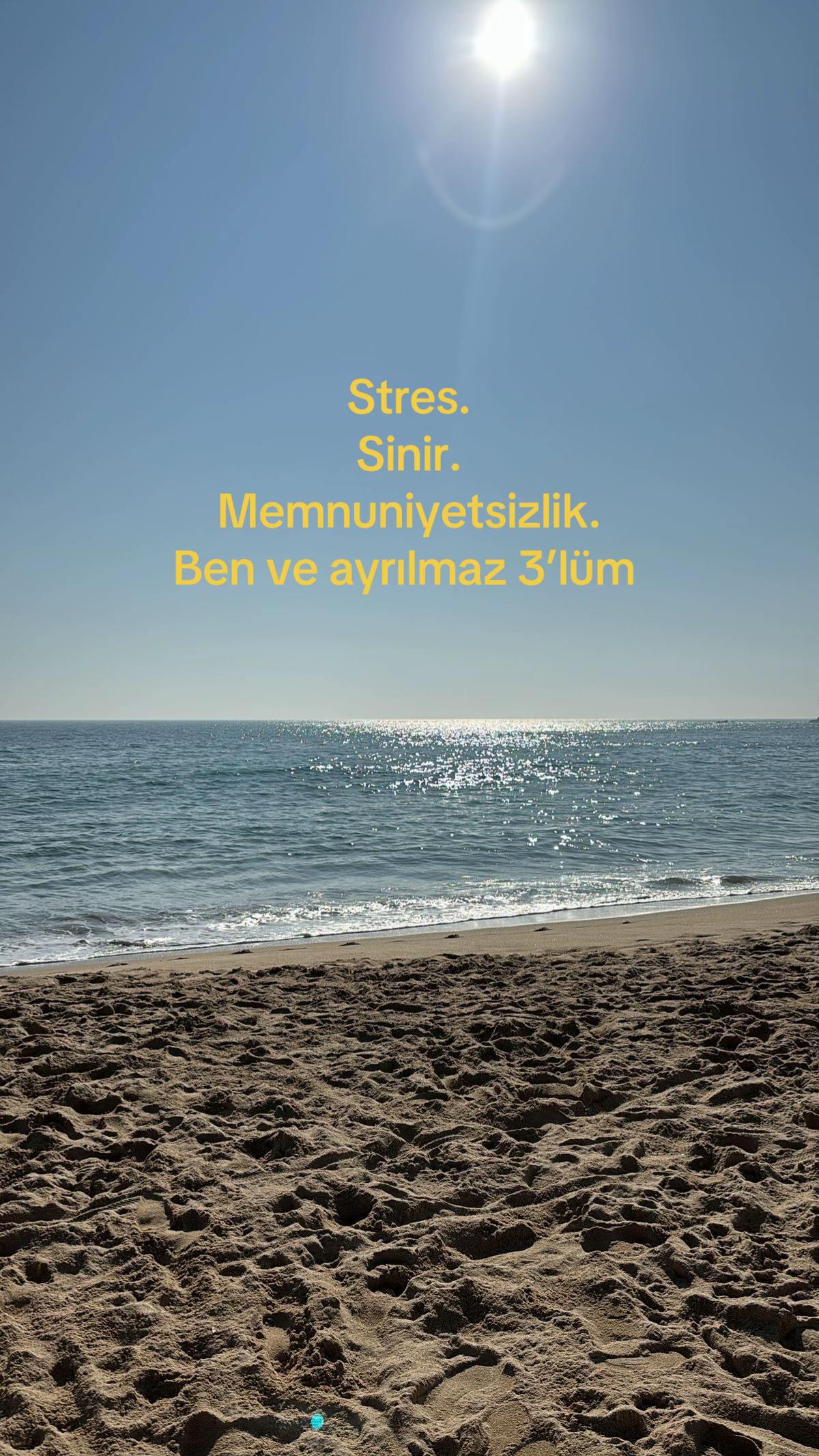 @Bizdir