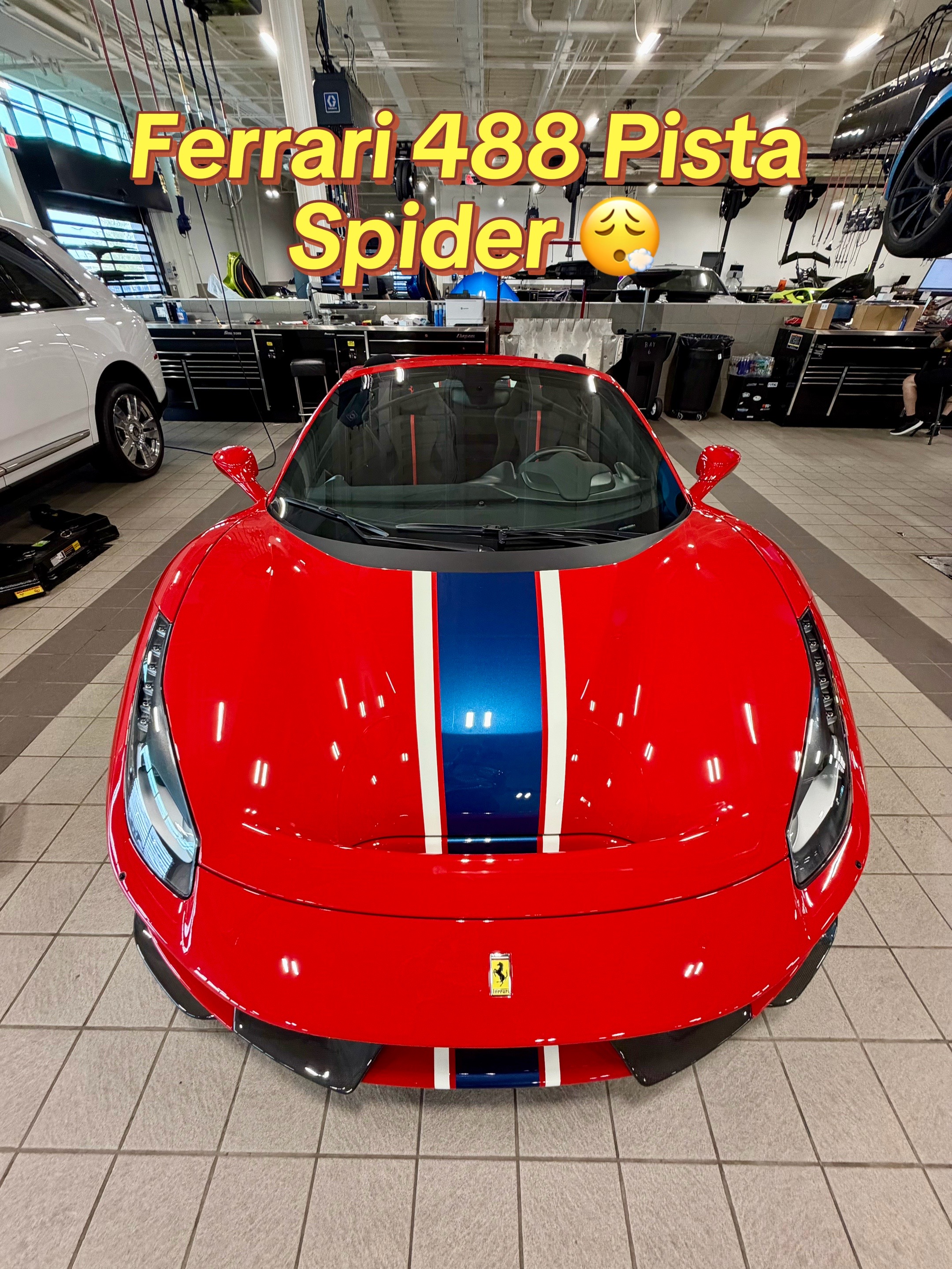 @exotic.trent
