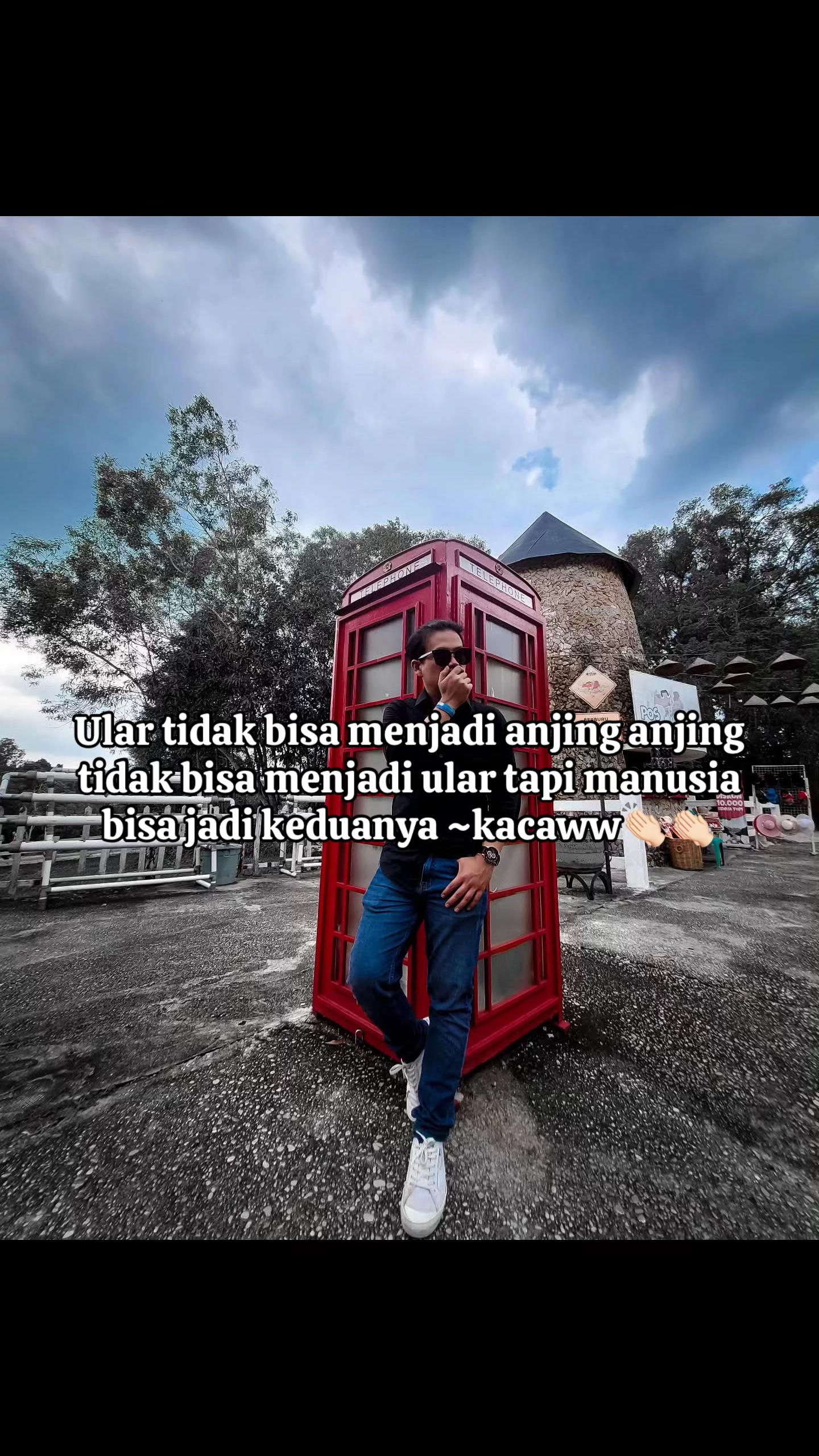 @ZL