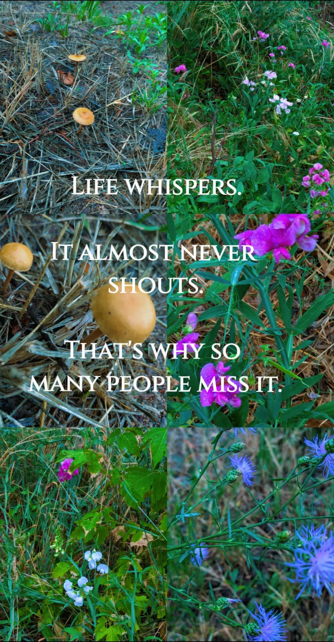 @🥀