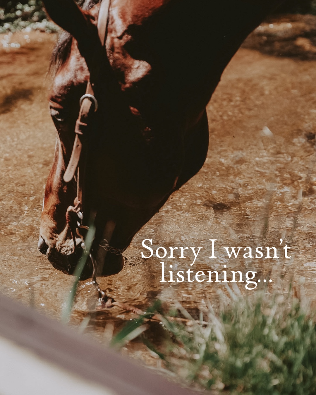 @LazyTRanch