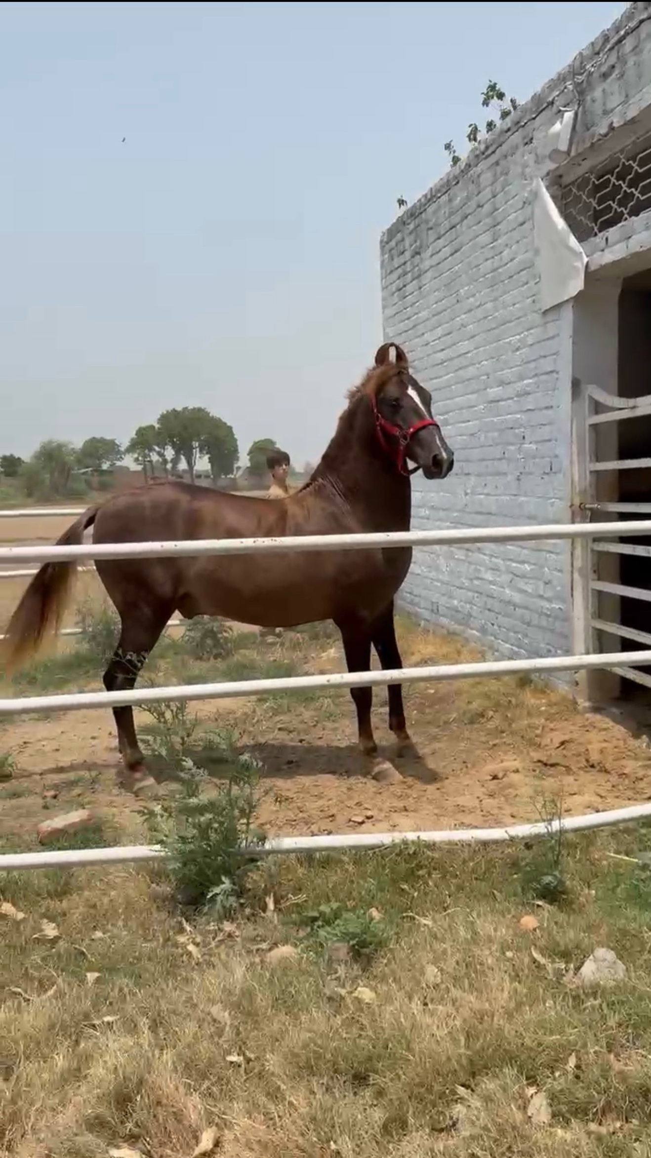 @Syed Asad Rizvi