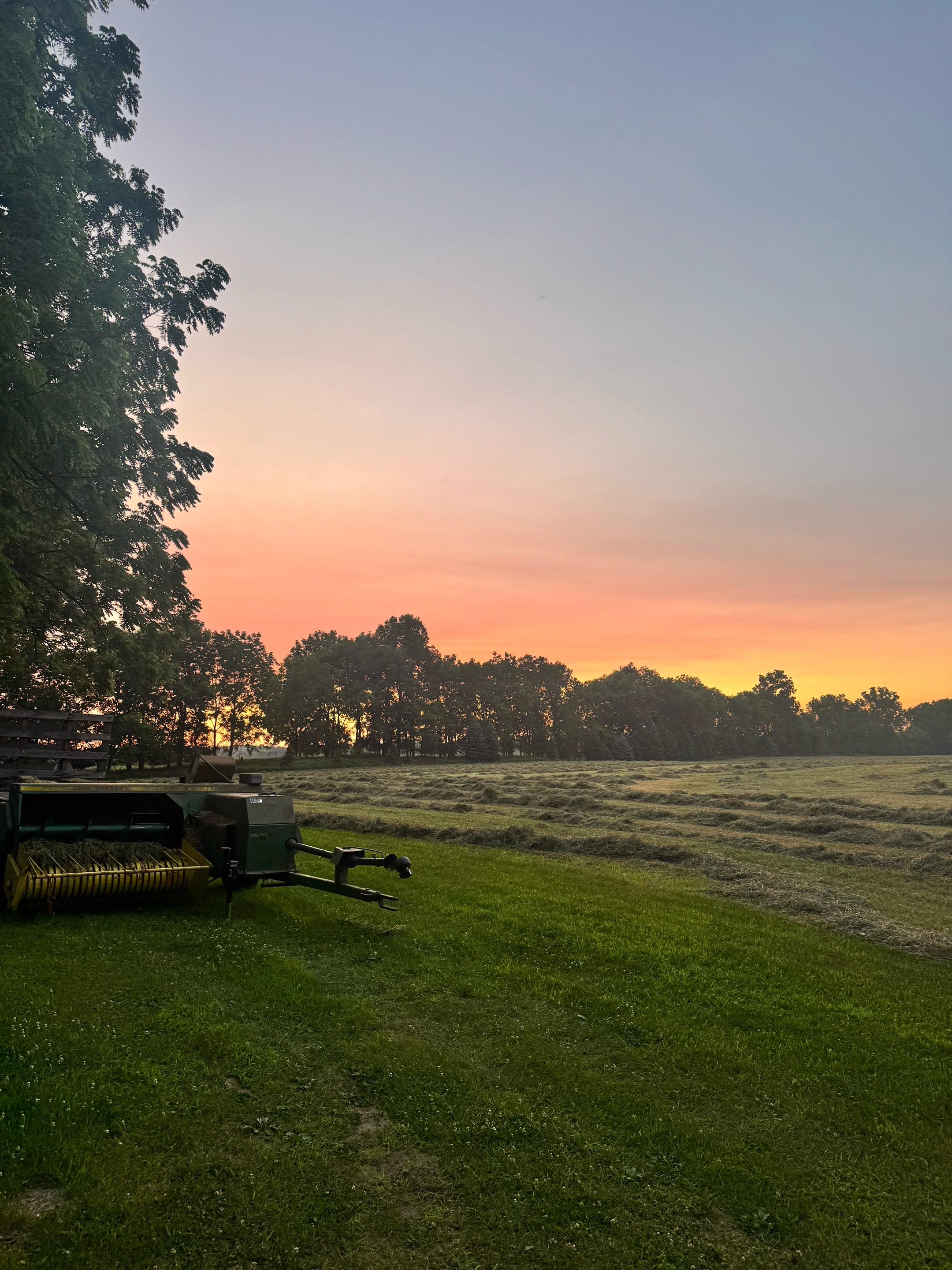 @ASHYA SUNRISE