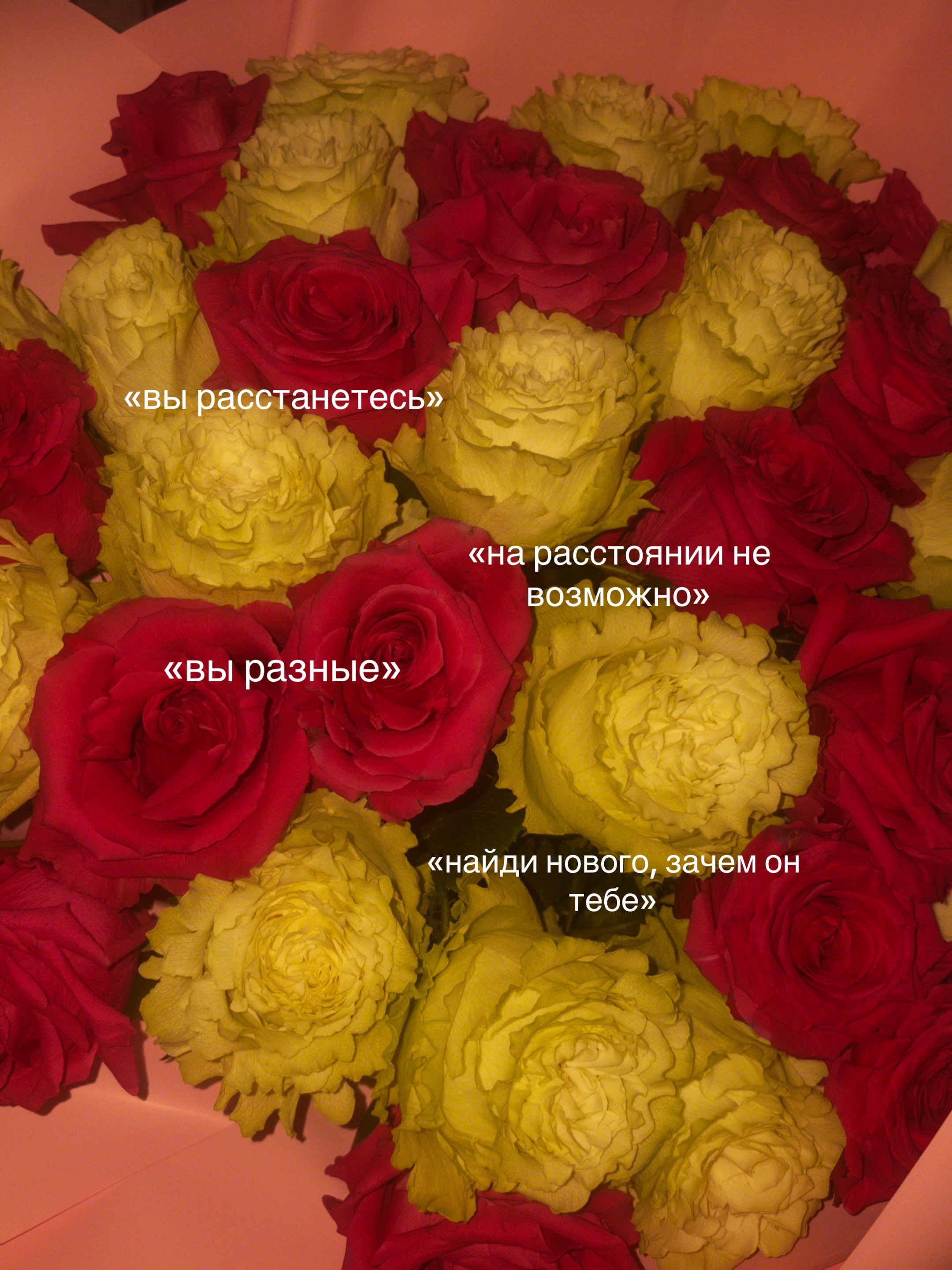 @tatarka_07🌺