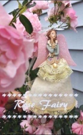 @lady