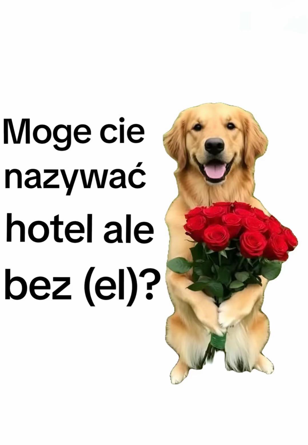 @𓏲ּ𝄢