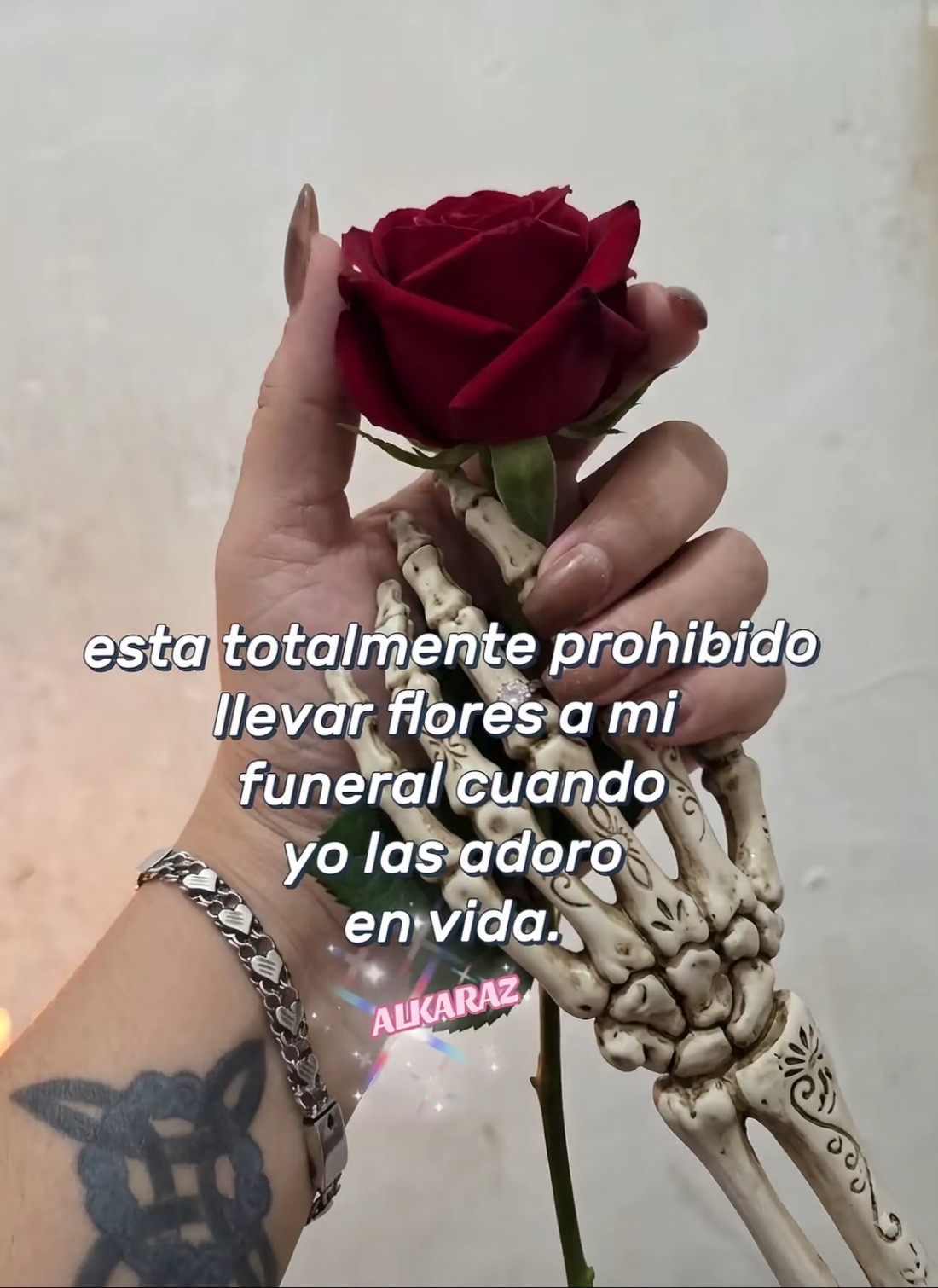 @Lisbeth 184