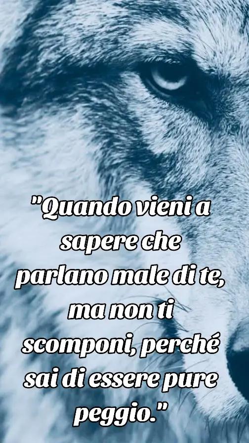 @🐺🗽Crazy Wolf.