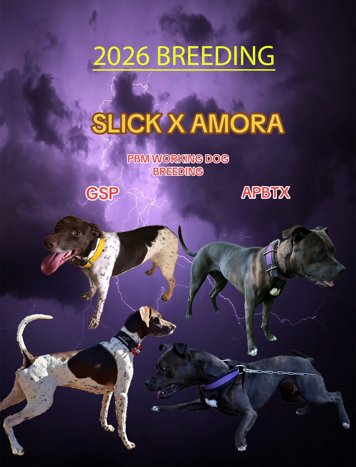 @𝓐𝓶𝓸𝓻𝓪&deg;.⋆༺𓋹༻⋆.&deg;