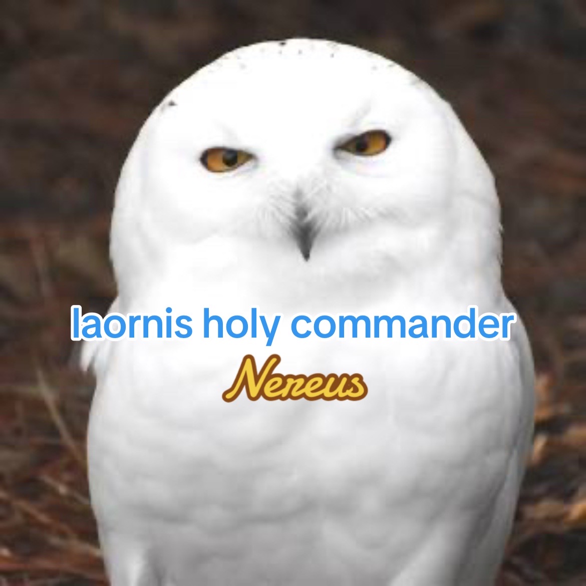 @RFG