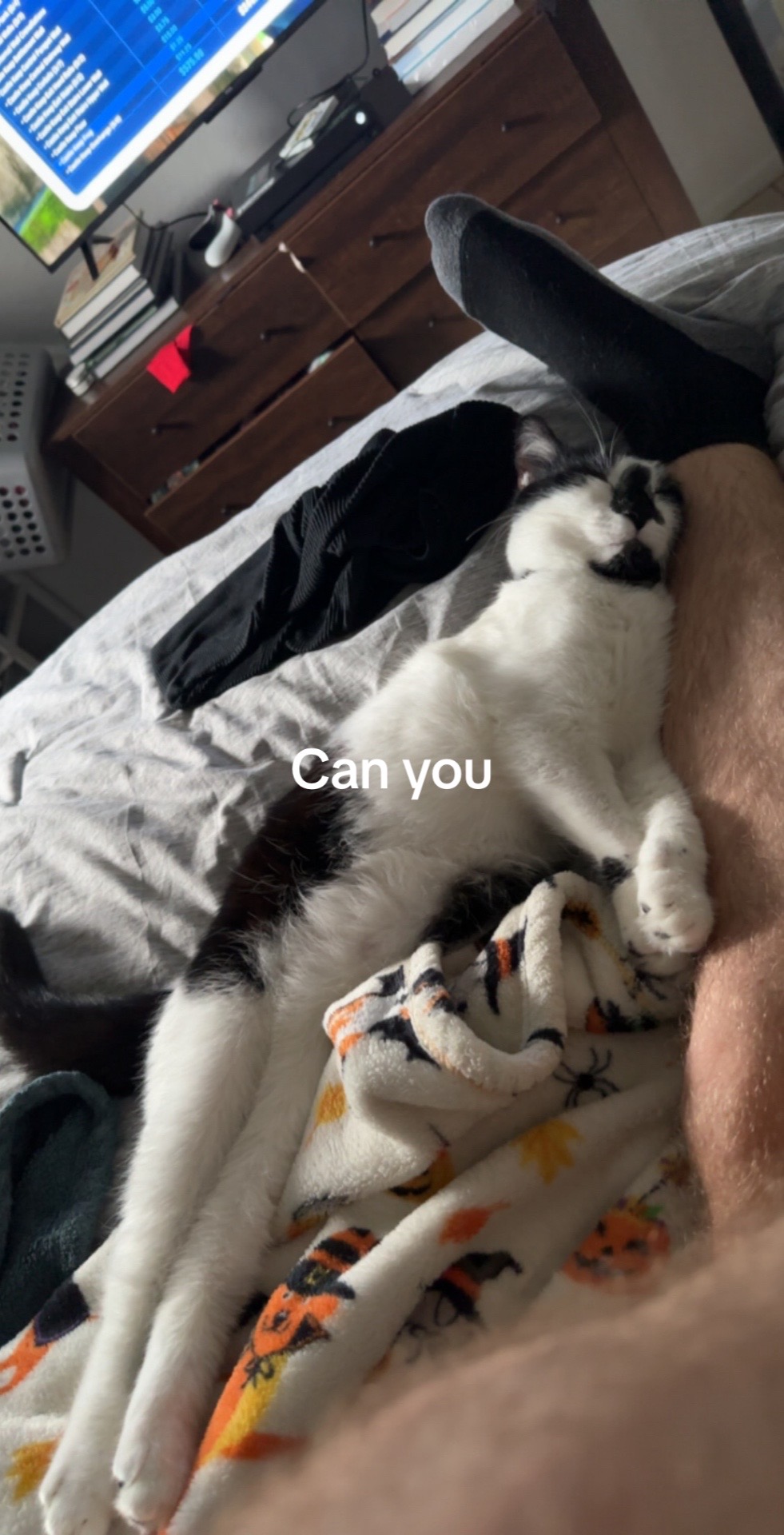 @dillnye3