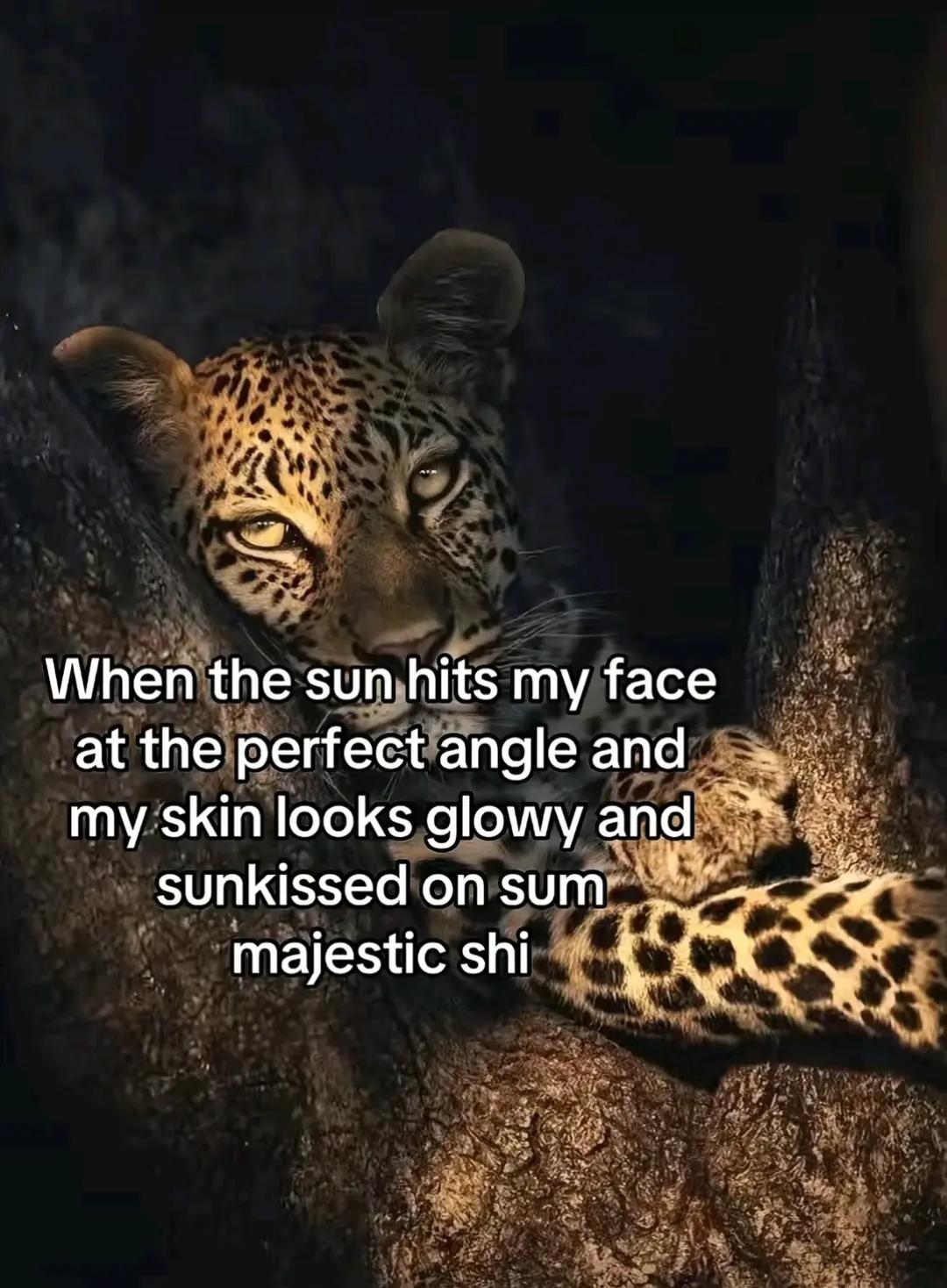 @nazee