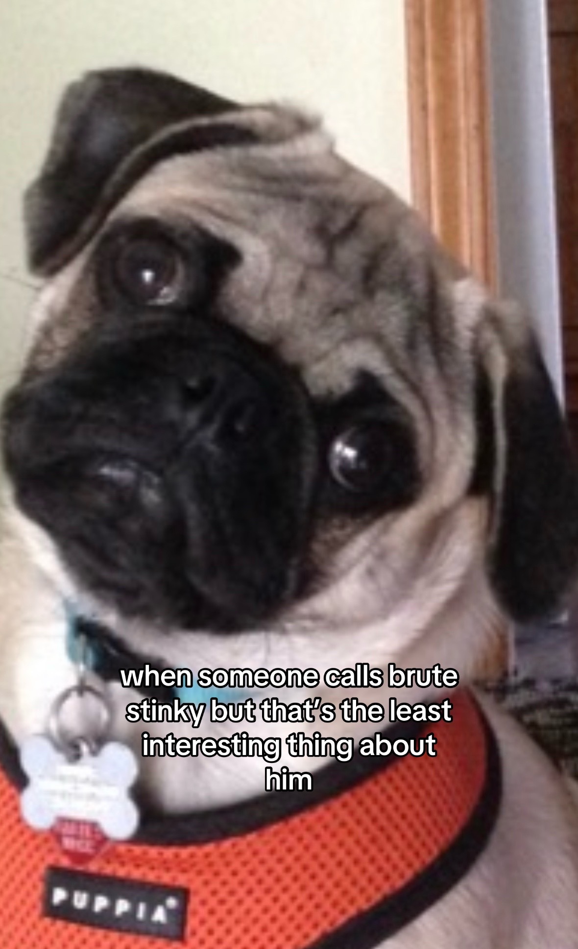 @Kinsey