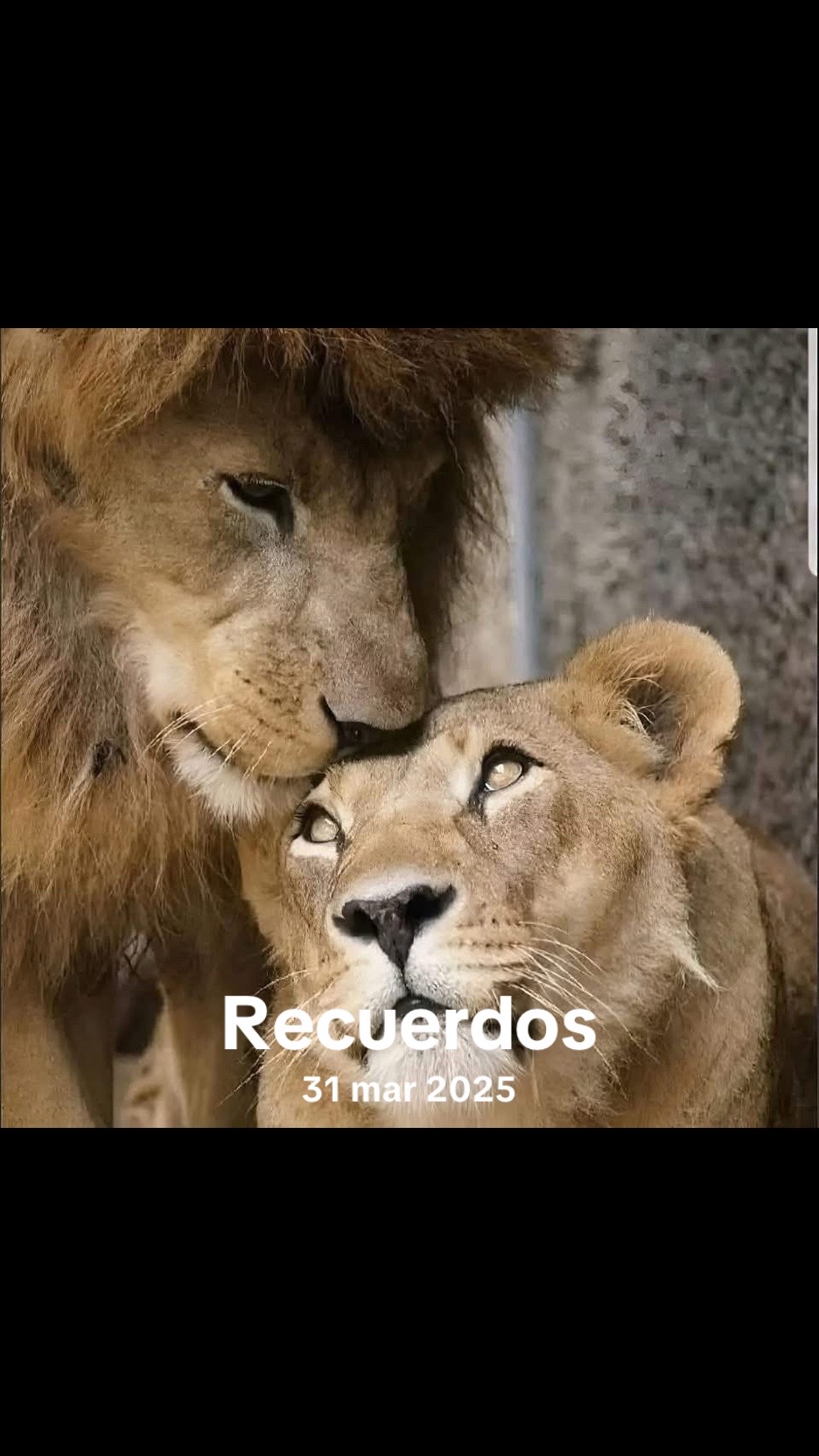 @mariacarrasco
